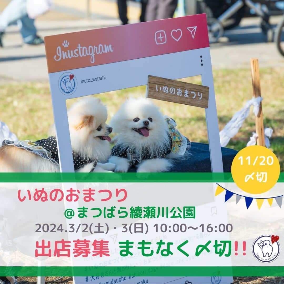 甲斐麻美のインスタグラム：「. \\ いぬのおまつり 　2024年3/2(土),3(日)＠まつばら綾瀬川公園 　　　　　出店募集まもなく〆切 // 　　　（～11/20(月)〆切)  締め切りは、11/20(月)23:59です！  ワンちゃんもワンちゃん家族も、 みんなが楽しくハッピーで 心地いいイベントになるために、 わたし達と一緒に ”いぬのおまつり ”を 盛り上げてくれる『いぬLOVE💗』な 出店者様をお待ちしています🐾  初めての場所で、 大きな空間で開催なのでわたしたちもドキドキ🐶🤭💓  ぜひ一緒に盛り上げて下さい！  心地のいい春の公園で、 たくさんの笑顔を作りましょう🐕‍🦺💕🌝  出店者さんの募集は、まもなく〆切！  @inuto_watashi ↑をフォローの上、  いぬとわたしホームページへ。 → https://inutowatashi.wixsite.com/home  プロフィール欄からどうぞ🐶✨  出店要項（規約）をご確認のうえ、 ご応募ください。🥰 (※応募者が多数の場合は選考になります) (※期日内は申込みフォームの修正も可能です)  運営team一同、 素敵な出店者様との 出逢いを心から楽しみにしています💛  よろしくお願いします♩  ============  いぬのおまつり ============  ■日時：2024年3月2日(土)・3(日) 10:00～16:00 ※雨天中止 場所：まつばら綾瀬川公園(旧綾瀬川左岸広場) 東武スカイツリーライン獨協大学前駅東口 徒歩約8分  #いぬのおまつり　 #埼玉県 #草加市 #草加グルメ #草加最高 #松並木 #イベント運営 #いぬとわたし #犬との暮らし #犬ファースト #犬好きさんと繋がりたい #犬がいないと生きていけません #犬好き #犬のイベント #犬イベント #犬とお出かけ #いぬすたぐらむ #いぬのおまつり #いぬとわたし #犬イベント #犬の日 #出店者募集 #犬すきさんと繋がりたい #犬との暮らしを楽しむ #犬ばか」