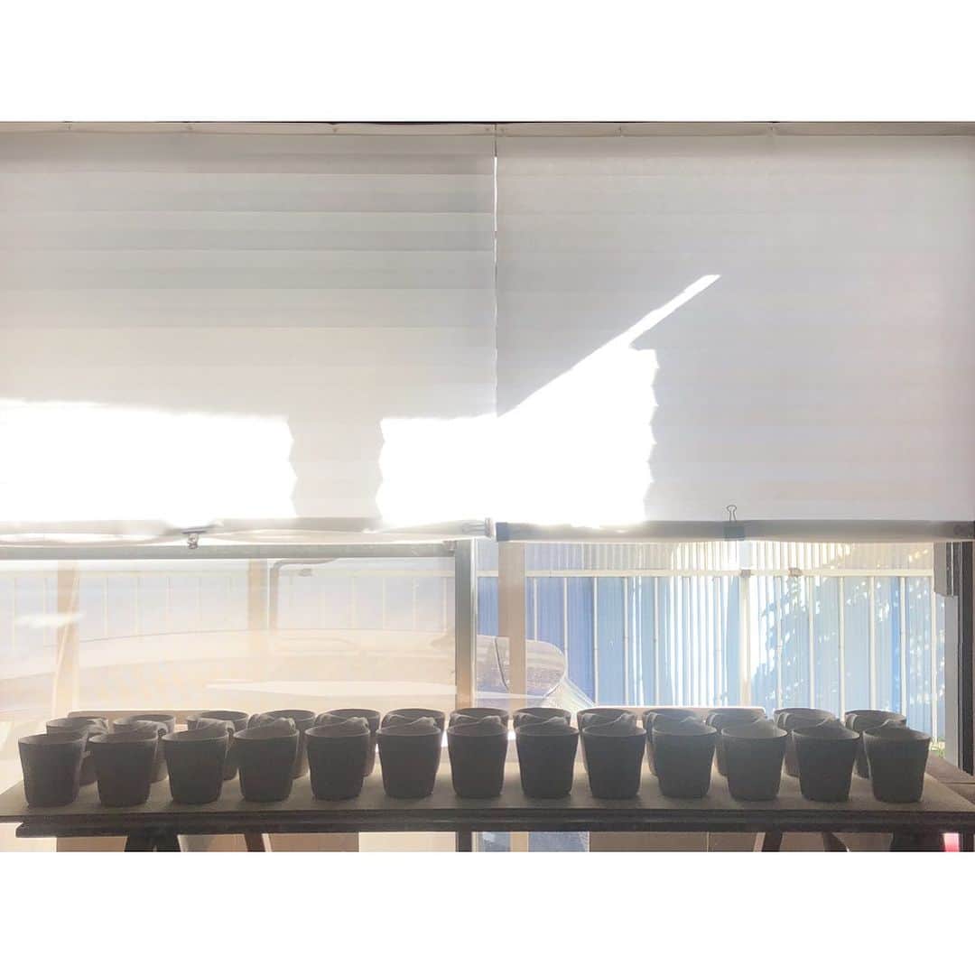 井山三希子さんのインスタグラム写真 - (井山三希子Instagram)「・ マグカップ 苦手なハンドル付けを終え ゆっくり乾燥し仕上げから 窓ぎわで天日干しから素焼き」11月15日 8時06分 - nikoyagi