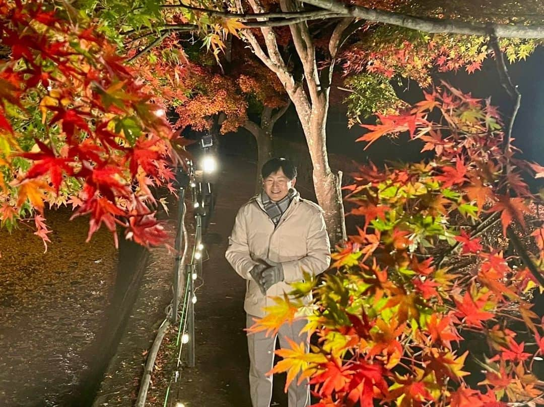 依田司さんのインスタグラム写真 - (依田司Instagram)「11月15日(水) 山梨県富士河口湖町の「もみじ回廊」から。今朝は2℃まで下がり、今シーズン初のマフラー＆手袋しちゃいました。 ここは、およそ５００ｍにわたってモミジやカエデが続く山梨県を代表する紅葉スポット。元々は大正時代に河川の氾濫をきっかけに、整備の一環として住民の手でモミジが植えられたのが始まり。今では、富士山とのコラボを目当てに、この時期、およそ３０万人もの方々が訪れます。 今年は色づきが遅れるとみられていましたが、今月に入ってからの朝晩の冷え込みで例年通りの見頃となったそう。 さらに、「ヤマメの塩焼き」や４種のきのこが入った「きのこ汁」など、地元食材を使った温かい料理などもいただけます。もみじ祭り＆ライトアップは来週23(木)まで。  #もみじ回廊 #依田さん #依田司 #お天気検定 #テレビ朝日 #グッドモーニング #サタデーステーション #気象予報士 #お天気キャスター #japan #japantrip #japantravel #unknownjapan #japanAdventure #japanlife #lifeinjapan #instagramjapan #instajapan #療癒 #ilovejapan #weather #weathercaster #weatherforecast」11月15日 9時08分 - tsukasa_yoda