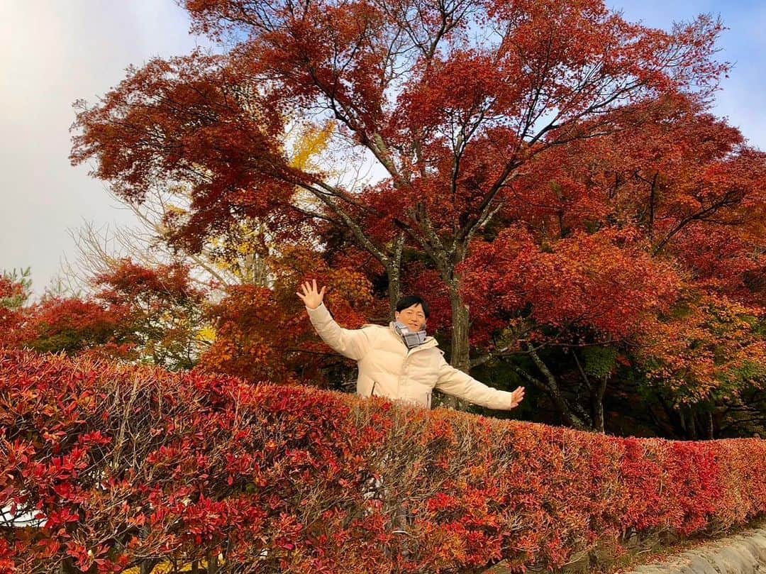依田司さんのインスタグラム写真 - (依田司Instagram)「11月15日(水) 山梨県富士河口湖町の「もみじ回廊」から。今朝は2℃まで下がり、今シーズン初のマフラー＆手袋しちゃいました。 ここは、およそ５００ｍにわたってモミジやカエデが続く山梨県を代表する紅葉スポット。元々は大正時代に河川の氾濫をきっかけに、整備の一環として住民の手でモミジが植えられたのが始まり。今では、富士山とのコラボを目当てに、この時期、およそ３０万人もの方々が訪れます。 今年は色づきが遅れるとみられていましたが、今月に入ってからの朝晩の冷え込みで例年通りの見頃となったそう。 さらに、「ヤマメの塩焼き」や４種のきのこが入った「きのこ汁」など、地元食材を使った温かい料理などもいただけます。もみじ祭り＆ライトアップは来週23(木)まで。  #もみじ回廊 #依田さん #依田司 #お天気検定 #テレビ朝日 #グッドモーニング #サタデーステーション #気象予報士 #お天気キャスター #japan #japantrip #japantravel #unknownjapan #japanAdventure #japanlife #lifeinjapan #instagramjapan #instajapan #療癒 #ilovejapan #weather #weathercaster #weatherforecast」11月15日 9時08分 - tsukasa_yoda