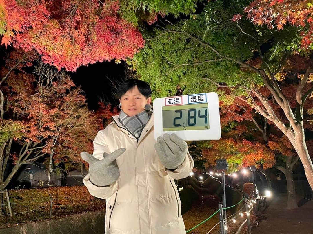 依田司さんのインスタグラム写真 - (依田司Instagram)「11月15日(水) 山梨県富士河口湖町の「もみじ回廊」から。今朝は2℃まで下がり、今シーズン初のマフラー＆手袋しちゃいました。 ここは、およそ５００ｍにわたってモミジやカエデが続く山梨県を代表する紅葉スポット。元々は大正時代に河川の氾濫をきっかけに、整備の一環として住民の手でモミジが植えられたのが始まり。今では、富士山とのコラボを目当てに、この時期、およそ３０万人もの方々が訪れます。 今年は色づきが遅れるとみられていましたが、今月に入ってからの朝晩の冷え込みで例年通りの見頃となったそう。 さらに、「ヤマメの塩焼き」や４種のきのこが入った「きのこ汁」など、地元食材を使った温かい料理などもいただけます。もみじ祭り＆ライトアップは来週23(木)まで。  #もみじ回廊 #依田さん #依田司 #お天気検定 #テレビ朝日 #グッドモーニング #サタデーステーション #気象予報士 #お天気キャスター #japan #japantrip #japantravel #unknownjapan #japanAdventure #japanlife #lifeinjapan #instagramjapan #instajapan #療癒 #ilovejapan #weather #weathercaster #weatherforecast」11月15日 9時08分 - tsukasa_yoda