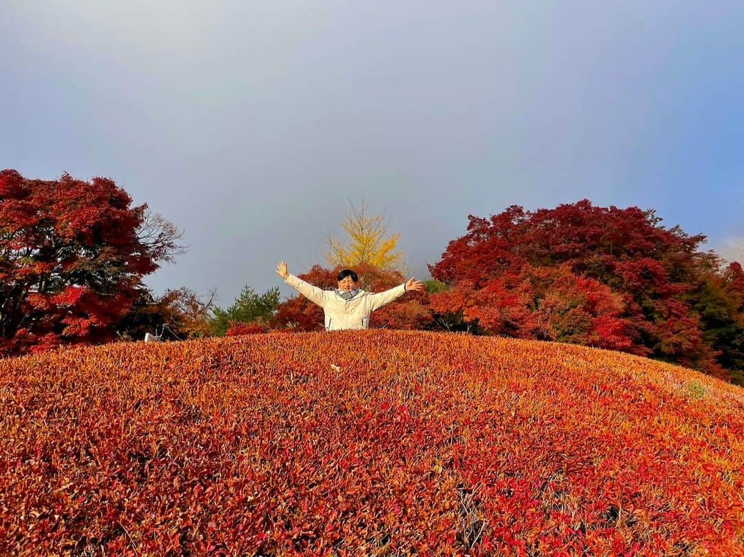 依田司さんのインスタグラム写真 - (依田司Instagram)「11月15日(水) 山梨県富士河口湖町の「もみじ回廊」から。今朝は2℃まで下がり、今シーズン初のマフラー＆手袋しちゃいました。 ここは、およそ５００ｍにわたってモミジやカエデが続く山梨県を代表する紅葉スポット。元々は大正時代に河川の氾濫をきっかけに、整備の一環として住民の手でモミジが植えられたのが始まり。今では、富士山とのコラボを目当てに、この時期、およそ３０万人もの方々が訪れます。 今年は色づきが遅れるとみられていましたが、今月に入ってからの朝晩の冷え込みで例年通りの見頃となったそう。 さらに、「ヤマメの塩焼き」や４種のきのこが入った「きのこ汁」など、地元食材を使った温かい料理などもいただけます。もみじ祭り＆ライトアップは来週23(木)まで。  #もみじ回廊 #依田さん #依田司 #お天気検定 #テレビ朝日 #グッドモーニング #サタデーステーション #気象予報士 #お天気キャスター #japan #japantrip #japantravel #unknownjapan #japanAdventure #japanlife #lifeinjapan #instagramjapan #instajapan #療癒 #ilovejapan #weather #weathercaster #weatherforecast」11月15日 9時08分 - tsukasa_yoda