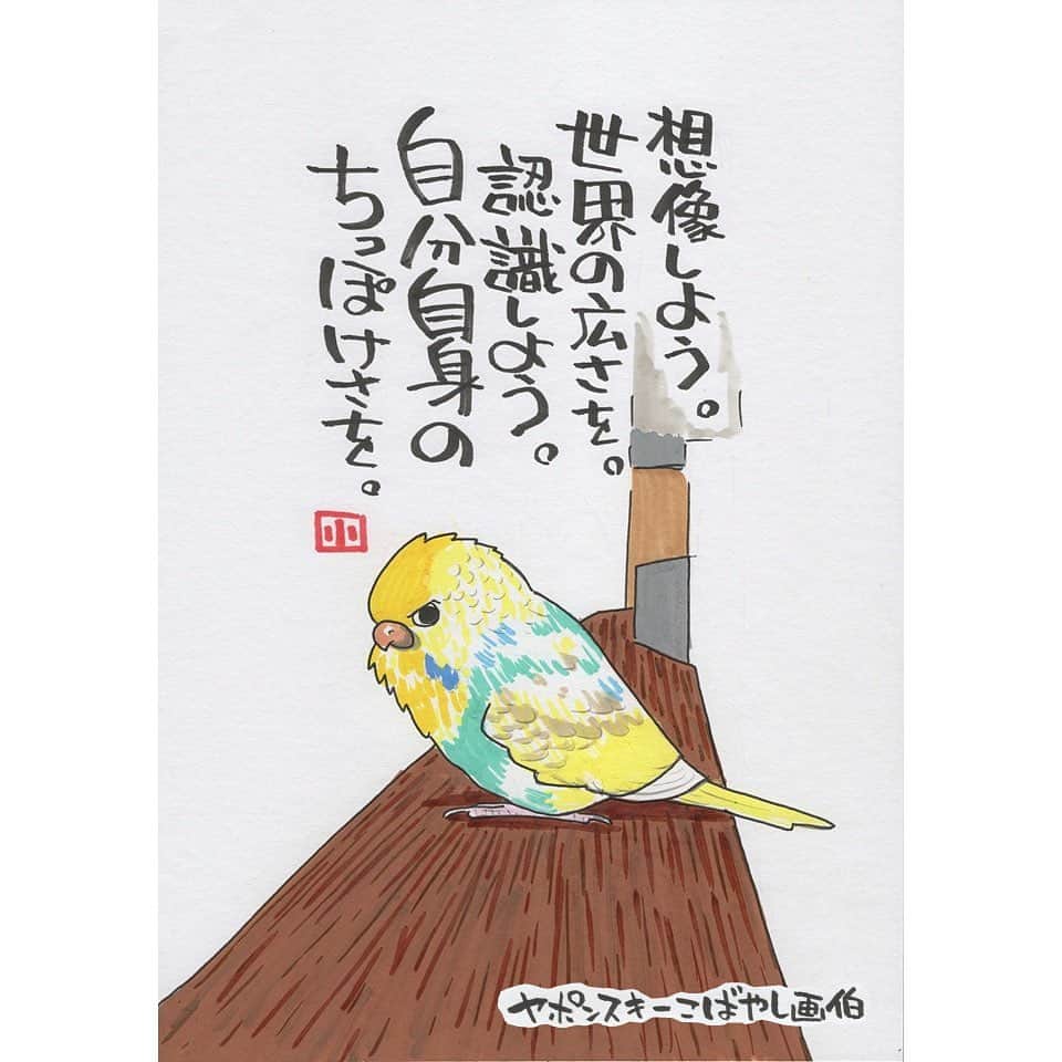 ヤポンスキーこばやし画伯のインスタグラム：「けもの日和 今日はA.Oさん家のセキセイインコ ユズです。 ずいぶんと目力のあるお顔ですね。 かわいいです。 いい表情のお写真をありがとうございます。  イラスト #ポエム  #イラストエッセイ #エッセイ #ヤポンスキー #ヤポンスキーこばやし画伯 #こばやし画伯 #芸人 #絵 #ポストカード #詩 #アート #言葉 #言葉の力 #人生 #生き方 #イラストグラム #イラストレーター #つぶやき #可愛い #前向き #ポジティブ #癒し #名言 #格言 #けもの日和」