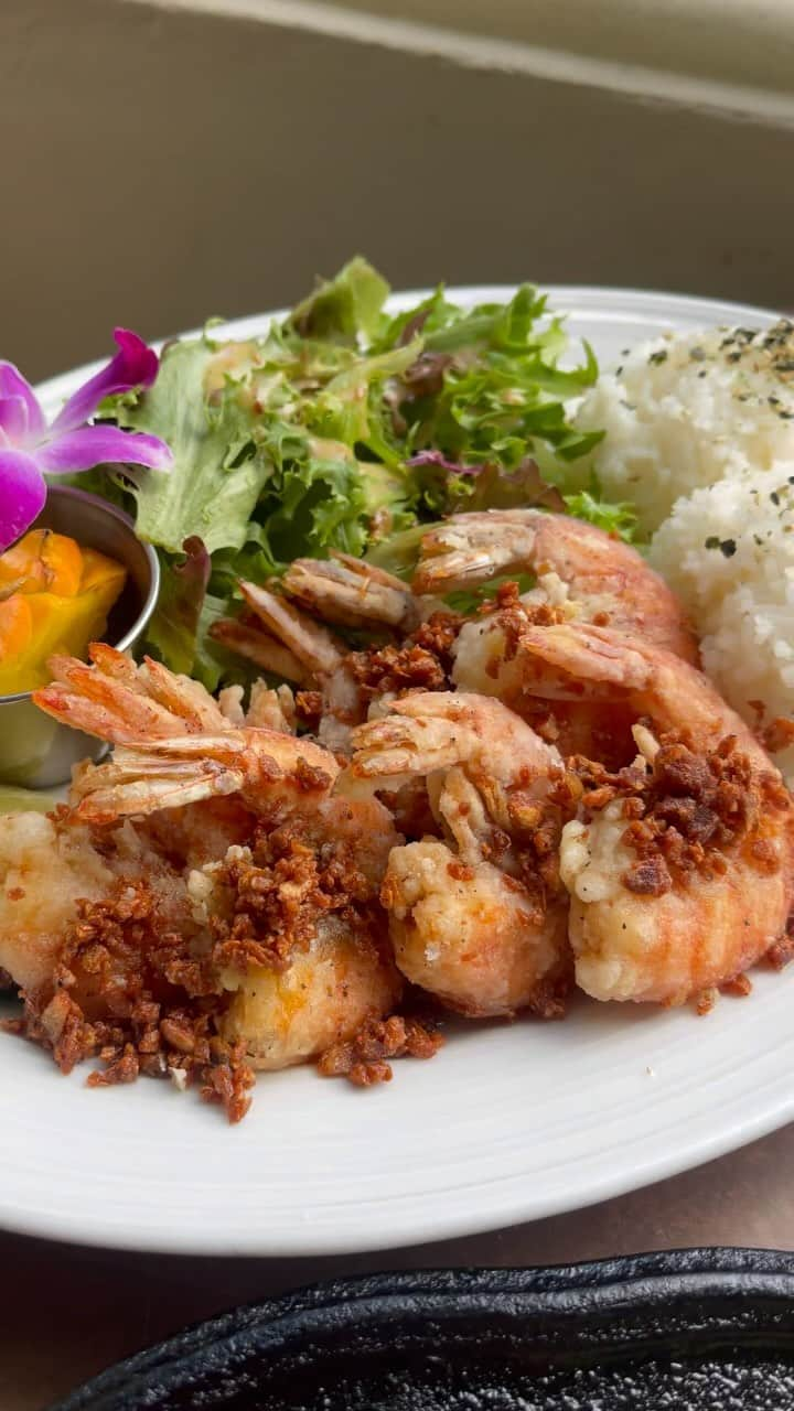 alohatable_waikikiのインスタグラム：「Endless delicious options for you @alohatable_waikiki   #zetton #shrimp #kalbi #salad #waikiki #hawaii #hawaiianeats #getaway」