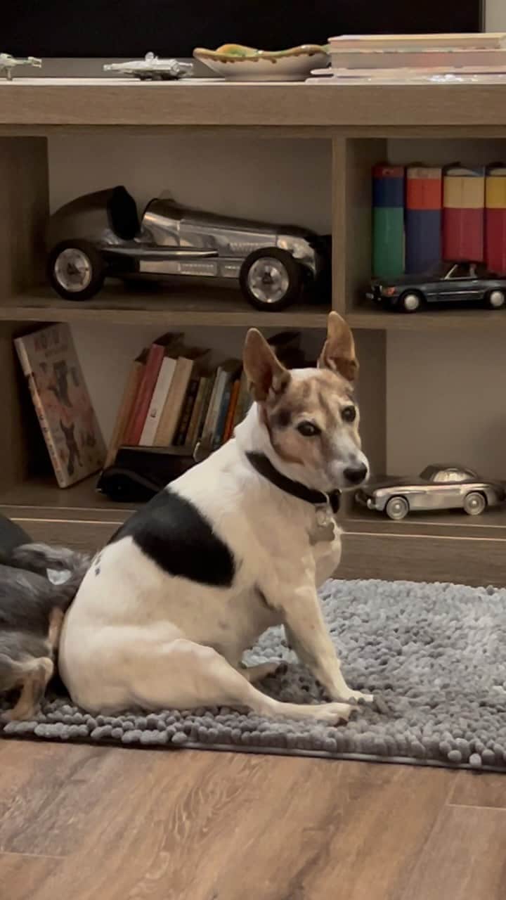 ジョン・バロウマンさんのインスタグラム (ジョン・バロウマンjohnscotbarrowman)