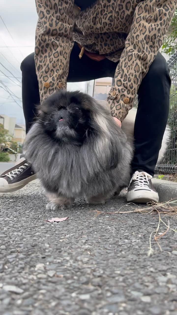 宮田和弥のインスタグラム