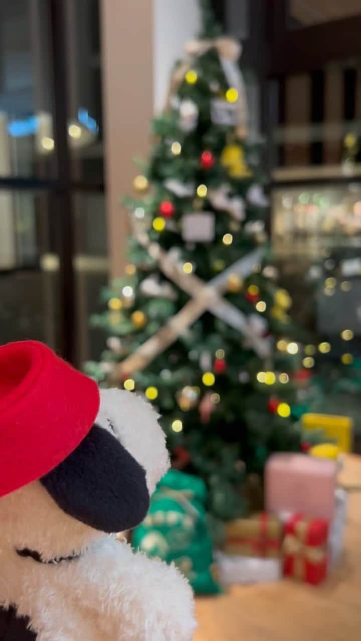 ピーナッツ カフェのインスタグラム：「new | PEANUTS Cafe   \ HAPPY HOLIDAYS！！ / PEANUTSの世界観をモチーフにした、毎年恒例のクリスマスツリーが登場！  各店の異なるクリスマスツリーやリースに加えて、中目黒のスペシャルルームをはじめとした大阪店のスクールバスや、原宿店の個室といった各店限定のクリスマス装飾も見逃せません◎  さらに、博多店ではPEANUTS HOTELのピンクスヌーピーが飾られたピンクのクリスマスツリーが新登場！  “暖かく幸せに満ちた素敵な時間”をコンセプトにしたメニューや、“GIFT”をテーマにしたグッズと合わせて、PEANUTS Cafe のクリスマスをお楽しみください。  詳しくは、引き続きSNSをチェックしてみてくださいね◎」