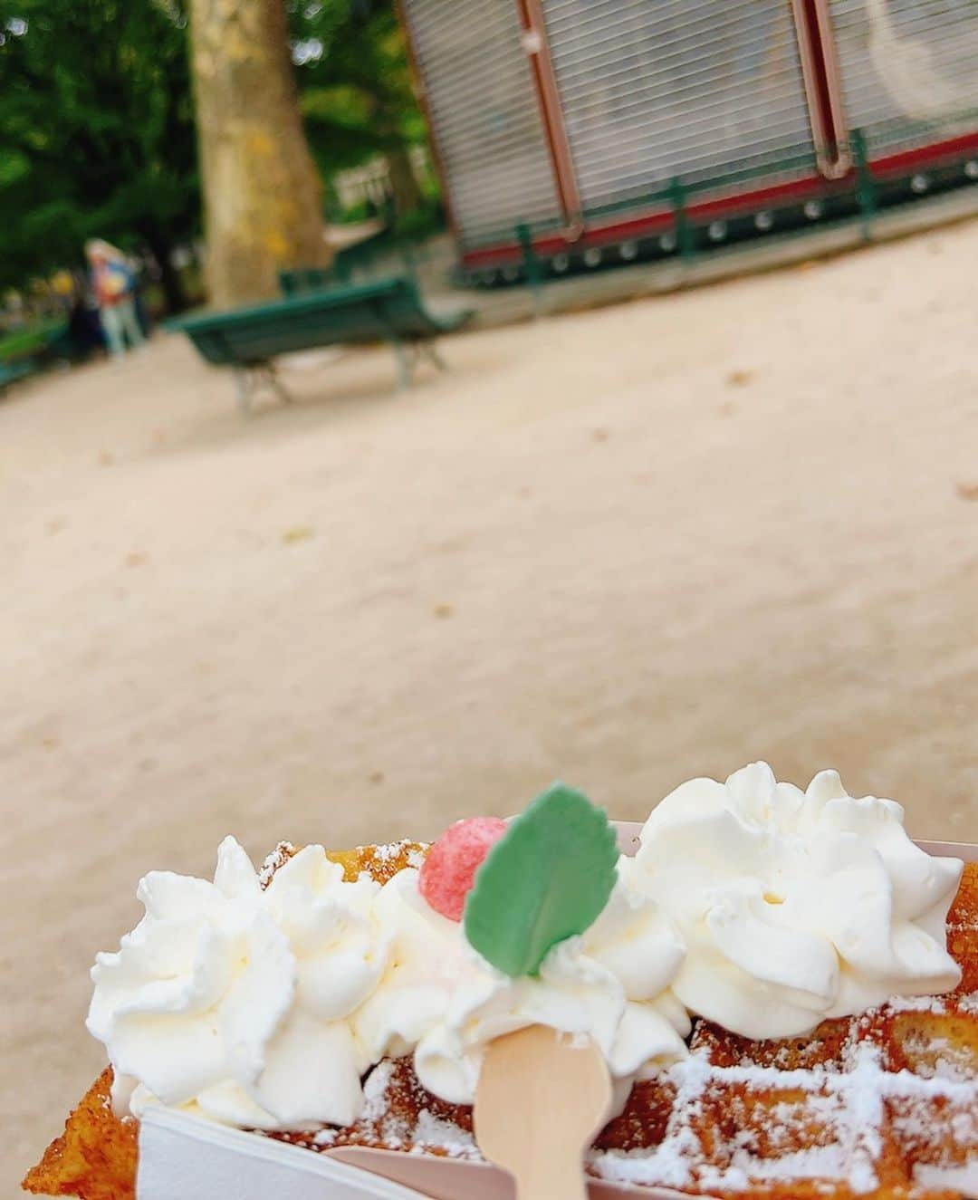 島本真衣さんのインスタグラム写真 - (島本真衣Instagram)「パリ旅行🇫🇷 やっパリ沢山食べました😋  今朝は冷えますねぇ。 暖かくして過ごしましょう♡  #パリ #paris #食事 #美味」11月15日 10時42分 - mai_shimamoto_ex