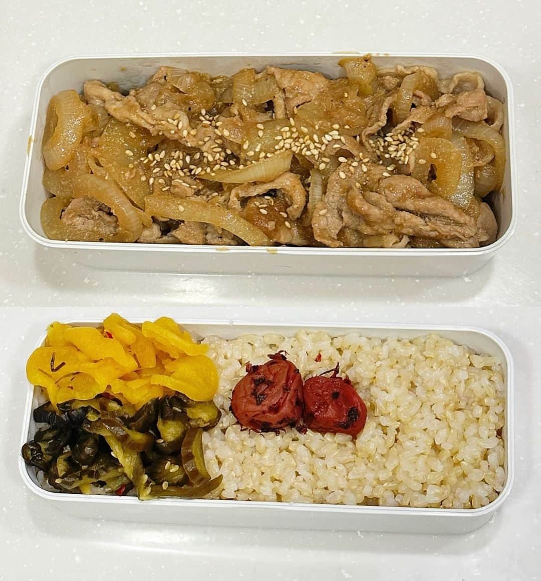 柴田淳のインスタグラム：「#今日のお弁当🍱 #生姜焼き #発芽玄米 #かつお梅 #溜まり漬け #きゅうりのキューちゃん」