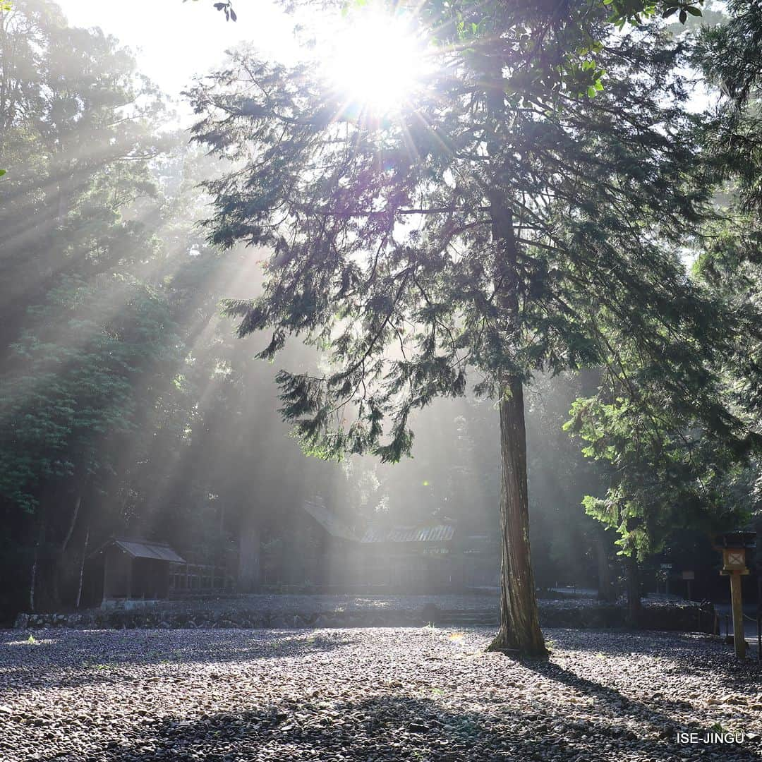 伊勢神宮さんのインスタグラム写真 - (伊勢神宮Instagram)「#伊勢神宮 #神宮 #神社 #心のふるさと #瀧原宮 #別宮 #度会郡大紀町 #神宮125社 #isejingu #jingu #soul_of_japan #japan #jinja #shinto #takihara_no_miya #takihara_no_narabi_no_miya」11月15日 11時00分 - isejingu.official