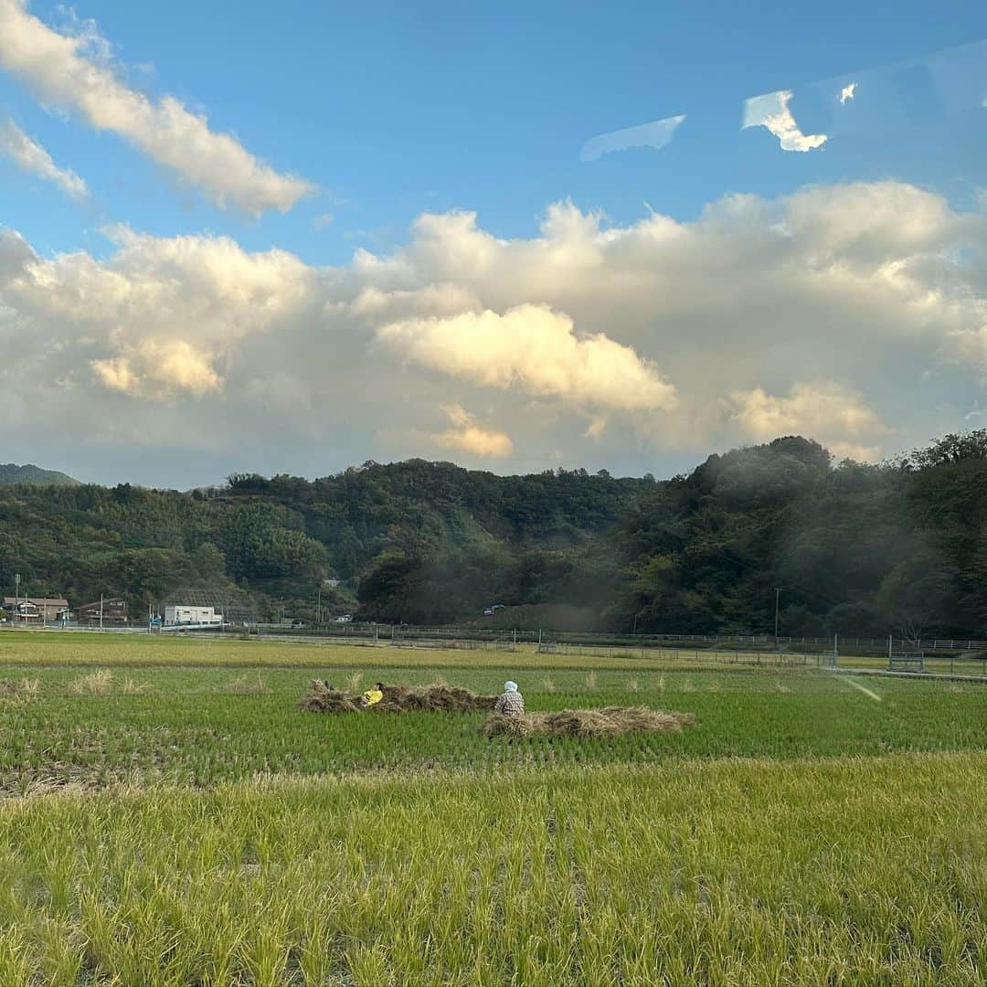 Asano Minamiさんのインスタグラム写真 - (Asano MinamiInstagram)「①収穫したラディッシュがハートだったとき。 ②美菜屋でいつも使う紅心大根！たくさん採れたけど、なぜか紫の大根もでてきた🤔 ③冷蔵庫に何にもなくても、畑の野菜だけでかき揚げ作れる幸せ。 ④先週、亥の子がくるよ〜って言われて外に出たら、近所の子供達が歌いながら鍋みたいなかたまりに紐がついたやつを、地面に叩きつけながらみんなで歌う行事が始まって💥おもしろかった！四国限定かな？写真撮ればよかった。 ⑤1番好きな、景色が綺麗な山🍊 ⑥ファミリータイム ⑦ずっと洗いたかったロッゾ、良い匂いになった⤴︎ ⑧雨が降ったら農業おやすみなので、ゴルフチャンス！ ⑨クリスマスツリー大満足🎄  東京みたいな刺激や楽しいイベントはないけど、ちっちゃい事が幸せな愛媛ライフ🧑‍🌾  今週は東京にいます🗼」11月15日 10時55分 - minami_asano