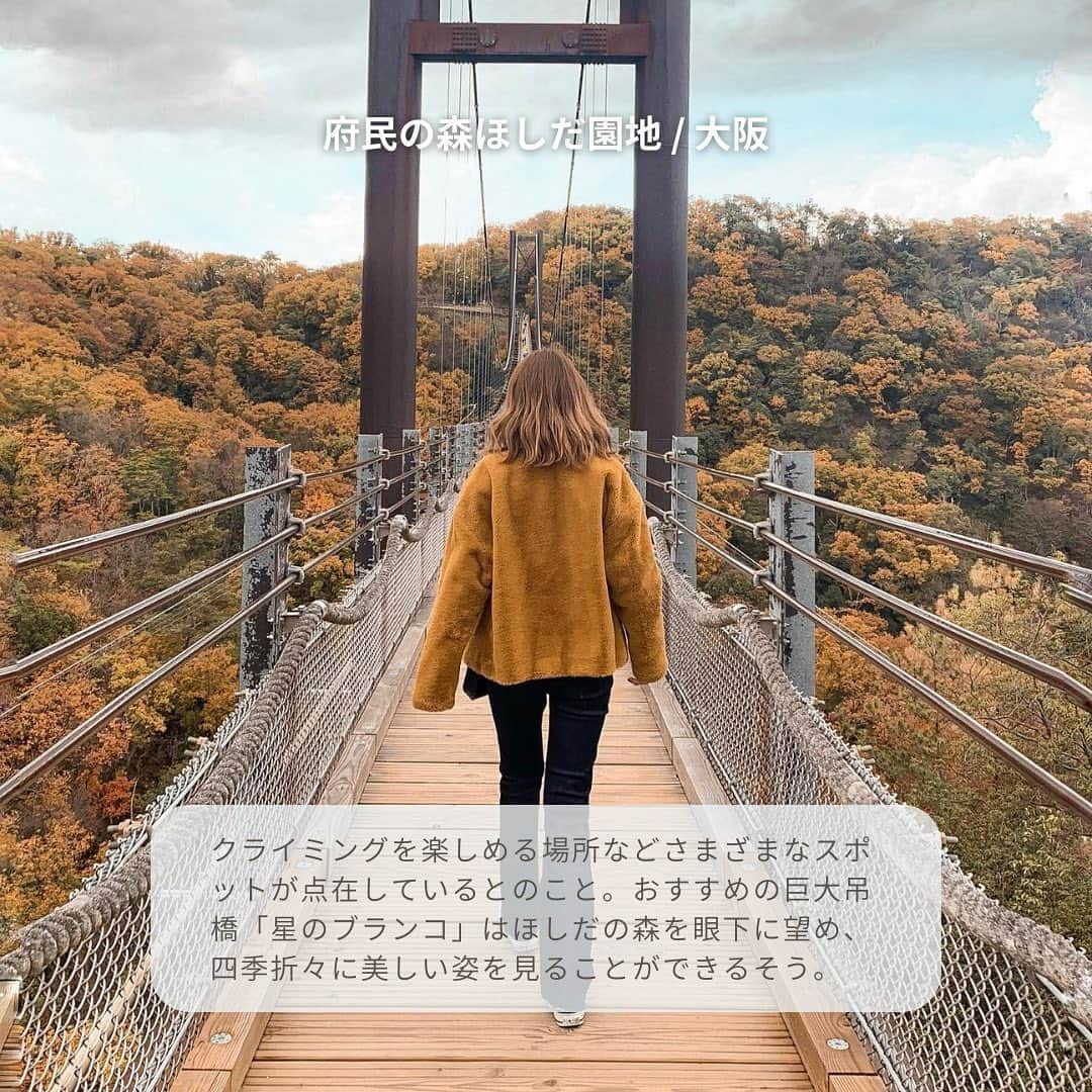 isutaさんのインスタグラム写真 - (isutaInstagram)「旅行先として大人気の関西エリア。次の長期休みの目的地として、セレクトしている人も多いのでは？  そこで今回は、関西の絶景スポットを5つご紹介。自然を感じられるスポットが注目を浴びている今、どこもとってもホットな場所だよ 🔥   観光の人も地元の人も、ぜひ足を運んでみてね！  ①横山展望台 / 三重  ②白崎海洋公園 / 和歌山  ③アジュール舞子 / 兵庫 @azurmaiko  ④曽爾高原 / 奈良  ➄府民の森ほしだ園地 / 大阪 @osaka_wonderforest  photo by @miho__811 @u_sa330 @1225miyu @_oham06 @rinchaaamu  ✄————————✄  姉妹アカウント @i_am_isuta も更新中  isuta編集部の日常のひとコマや 取材の最新レポを発信しているよ️˖°  ほかにも、エディターが気になる カフェやファッション、コスメをご紹介.・* ぜひフォローしてね️  ✄————————✄  #isuta#isutapic#イスタ#横山展望台 #三重観光#志摩#白崎海洋公園#和歌山観光 #由良町#アジュール舞子#兵庫観光#神戸観光 #曽爾高原#曽爾村#奈良観光#府民の森ほしだ園地 #交野#星のブランコ#大阪観光#日本のエーゲ海 #大自然の中で#大自然#大自然満喫#リフレッシュしたい #海が好きな人と繋がりたい#自然が好き #自然の中で#自然がいっぱい#ススキ #自然が好きな人と繋がりたい」11月15日 12時25分 - isuta_jp