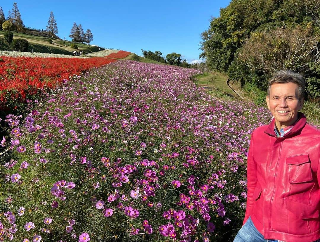 ヒロ寺平さんのインスタグラム写真 - (ヒロ寺平Instagram)「Fun Time  晴天の一日、淡路島に遊んだ。  花ばなと戯れた。 絶景を味わった。 人気の無い舞台ではワンマンショーも開催。  日ごろの徳のお蔭でお向かいの関空エリアと最高の夕暮れまで付いてきた。  お土産に玉葱も買った。 最高の一日だった。  #淡路島 #あわじ花さじき #淡路夢舞台 #ヒロ寺平 #ヒロT」11月15日 11時01分 - hiroteradaira