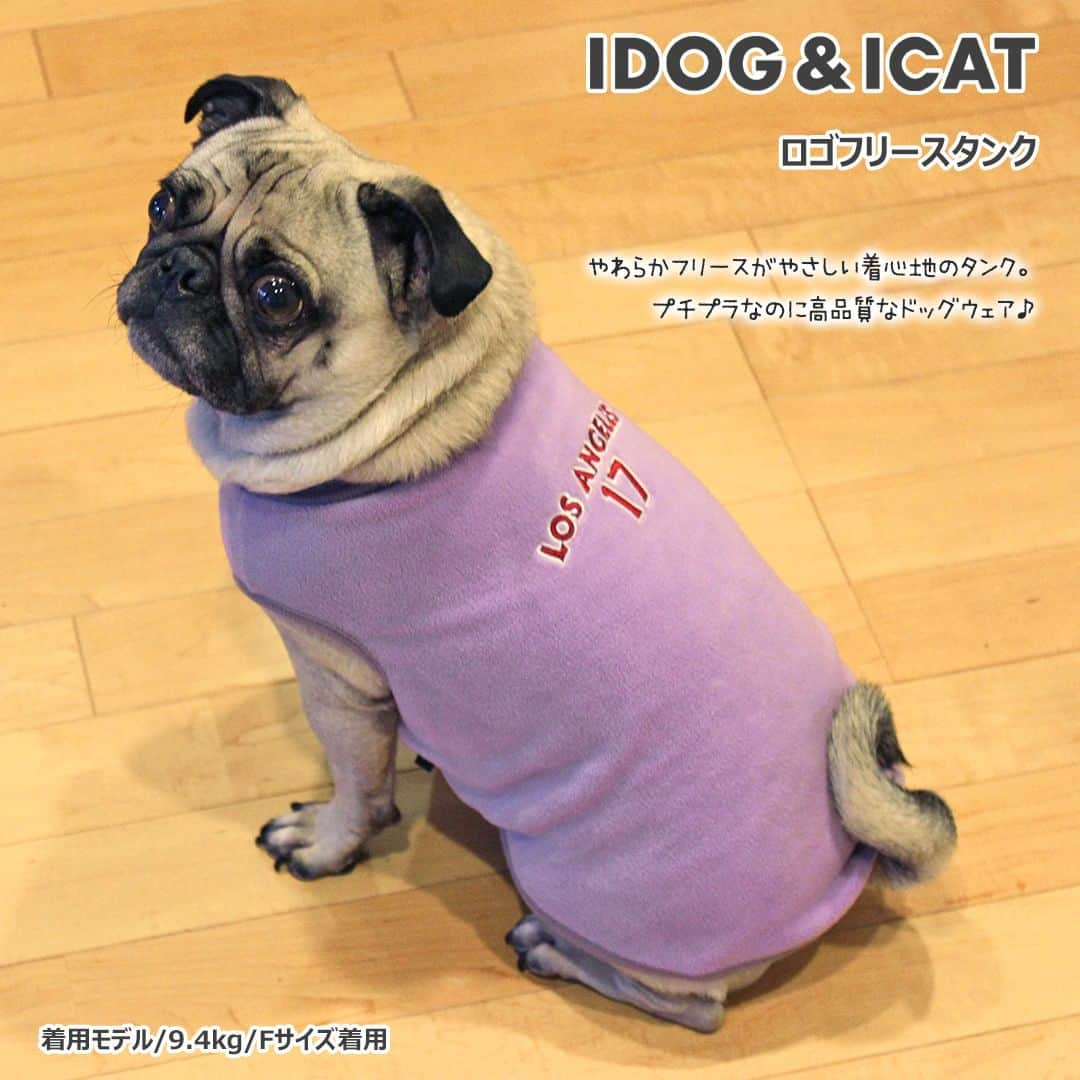 iDog&iCatさんのインスタグラム写真 - (iDog&iCatInstagram)「新作ロスレスウェア販売開始！  #idogロスレスウェア  iDogのアウトレットがロスレスウェアに！ iDogのロスレスウェアは「サスティナブル」で「プチプラ」が嬉しい。  自社工場や提携工場で発生する余った生地は通常廃棄されます。 その廃棄されるはずの生地を小さなペットウェアのパーツなどに活かして、ロス(廃棄)を0に近づけるiDog独自の生産方式です。 ロスを少なくする仕組みと簡易的な梱包で、お得な価格を実現しています。  iDogの「愛犬ファーストなものづくり」と素材へのこだわりはそのままに、環境とお財布に優しいシリーズのご提案です。  廃棄を減らすために、同品番でも違和感のない程度に素材や色が異なったり混ざったりしています。ご理解の上ご購入ください。  店舗URL：https://www.idog.jp/c/idog-dog-clothes/idog-dog-clothes-outlet  #iDog #iDogiCat #iCat #idogロスレスウェア #ペット服 #ドッグウェア #新作 #プチプラ #犬服 #犬の服 #犬の服iDog #犬 #超小型犬 #小型犬 #中型犬 #うちの子優勝 #サステナブル #猫服 #猫の服 #猫の服iCat #猫」11月15日 11時05分 - idogicat