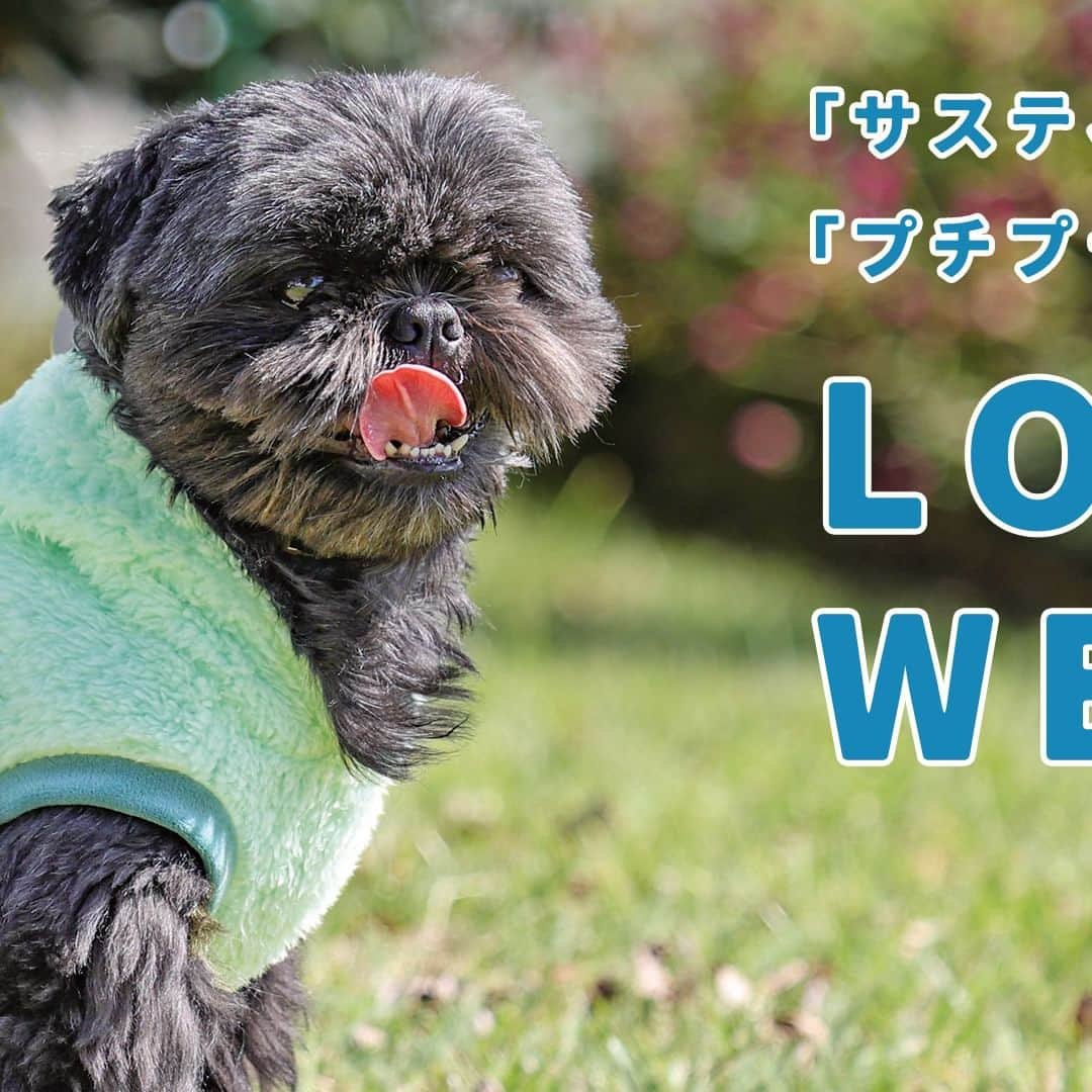 iDog&iCatのインスタグラム：「新作ロスレスウェア販売開始！  #idogロスレスウェア  iDogのアウトレットがロスレスウェアに！ iDogのロスレスウェアは「サスティナブル」で「プチプラ」が嬉しい。  自社工場や提携工場で発生する余った生地は通常廃棄されます。 その廃棄されるはずの生地を小さなペットウェアのパーツなどに活かして、ロス(廃棄)を0に近づけるiDog独自の生産方式です。 ロスを少なくする仕組みと簡易的な梱包で、お得な価格を実現しています。  iDogの「愛犬ファーストなものづくり」と素材へのこだわりはそのままに、環境とお財布に優しいシリーズのご提案です。  廃棄を減らすために、同品番でも違和感のない程度に素材や色が異なったり混ざったりしています。ご理解の上ご購入ください。  店舗URL：https://www.idog.jp/c/idog-dog-clothes/idog-dog-clothes-outlet  #iDog #iDogiCat #iCat #idogロスレスウェア #ペット服 #ドッグウェア #新作 #プチプラ #犬服 #犬の服 #犬の服iDog #犬 #超小型犬 #小型犬 #中型犬 #うちの子優勝 #サステナブル #猫服 #猫の服 #猫の服iCat #猫」