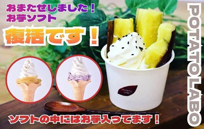 potatolaboのインスタグラム：「🍠 こんにちは！ POTATOLABO阪急西宮ガーデンズ店です🤗 いつもご利用ありがとうございます♪  皆様お待たせいたしました！✨ しばらくソフトを販売中止しておりましたが、 復活いたしました！！  当店のソフトには お芋が入ってるのご存知でしたか？😋  バニラソフトだと思われてる方、 実は…  ちゃんとお芋ペーストが練り込まれた 特製ソフトなんですよ！👏  使ってるお芋は 「紅はるか」です！  【紅はるかソフト】 【紅芋ソフト】 【やきいもソフト】  ソフト商品は ソフトにもお芋入ってるんですよ！✨  ぜひ！優しい甘さの お芋ソフトをご賞味くださいませ🍠  皆様のご来店お待ちしております♪  #ポテトラボ #阪急西宮ガーデンズ#さつまいも#さつまいもスイーツ専門店 #ソフトクリーム#ひやあつ #紅は るか#焼き芋」