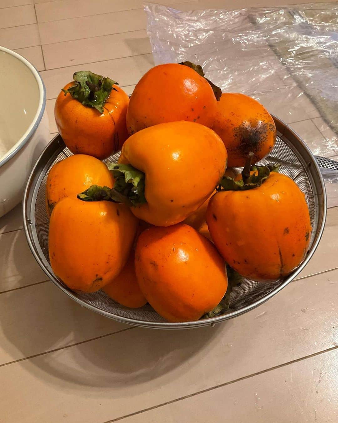野島健児さんのインスタグラム写真 - (野島健児Instagram)「干柿チャレンジです  都内でもできるのか  気温と湿度高めですね、、、  金宮吹きかけて カビ対策しつつ 祈るばかり」11月15日 11時23分 - nojima_kenji