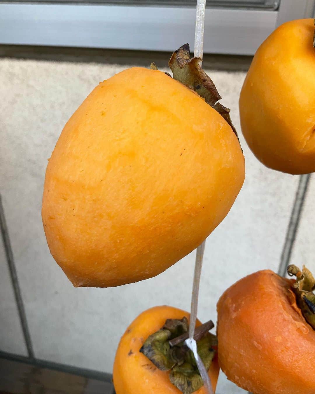 野島健児さんのインスタグラム写真 - (野島健児Instagram)「干柿チャレンジです  都内でもできるのか  気温と湿度高めですね、、、  金宮吹きかけて カビ対策しつつ 祈るばかり」11月15日 11時23分 - nojima_kenji