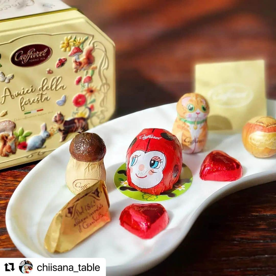 カファレルチョコレートさんのインスタグラム写真 - (カファレルチョコレートInstagram)「. #カファレルアンバサダー2023 @chiisana_table さまにご投稿頂きました📷🍫  素敵なご紹介をありがとうございます。  どちらも今年の10月から販売された新シリーズ🐈 チョコレートが特に美味しいこれからの季節にカファレルのチョコレート缶をお試しください🍫🌟  #カファレルアンバサダー2023 #カファレル #ジャンドゥーヤ #caffarel」11月15日 11時39分 - caffarel_hy