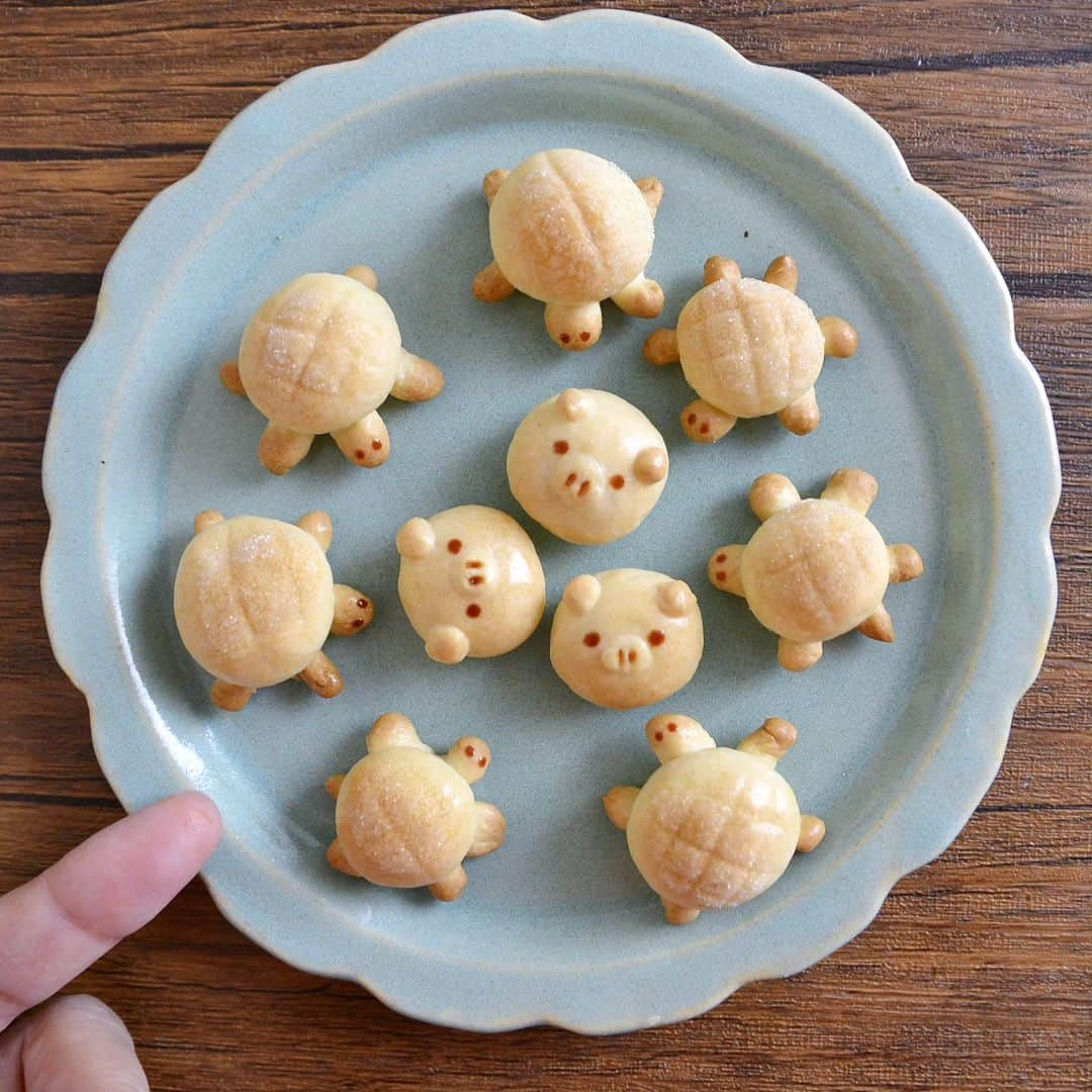 カリーノぱんのインスタグラム：「最近何気に人気のかめさんパン🐢 🐷はお試しで焼きました  (ひとつだけ、亀の顔書く場所間違えました😨)  イベント予定↓  11/25 東京ドームシティ　LaQua A-4  委託販売　  10/27～　ミニチュアベーカリーの世界展 (TODAYS GALLERY STUDIO. 〒111-0053 台東区 浅草橋5-27-6 5F)  #カリーノぱん #ミンネ #minne #ミニチュア #ミニチュアパン #パン #miniture #bread #ブローチ #マグネット #パン雑貨 #パンブローチ #フェイクフード #トースト #動物パン #ハンドメイドマルシェin東京ドームシティ #東京ドームシティラクーア #ハンドメイドマルシェ」