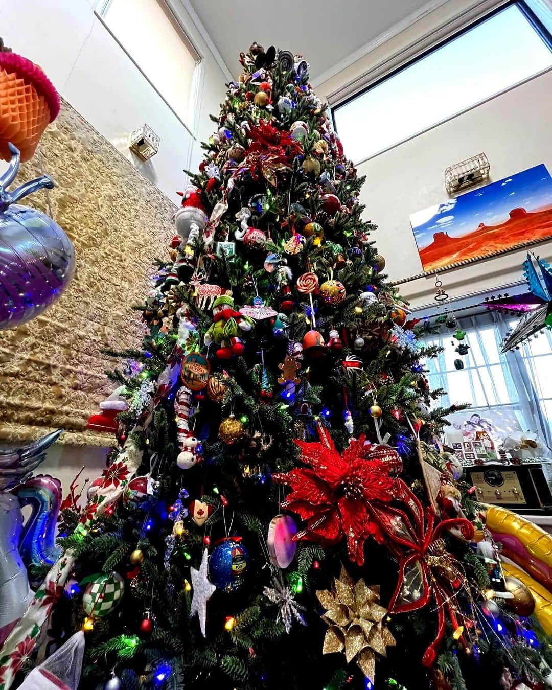 北斗晶のインスタグラム：「我が家は早めのクリスマスツリー🌲  父子で頑張って飾ってくれました😀  もう今年もこの時期になったんだね〜🌲  #クリスマスツリー  #クリスマスソング  #今年も」