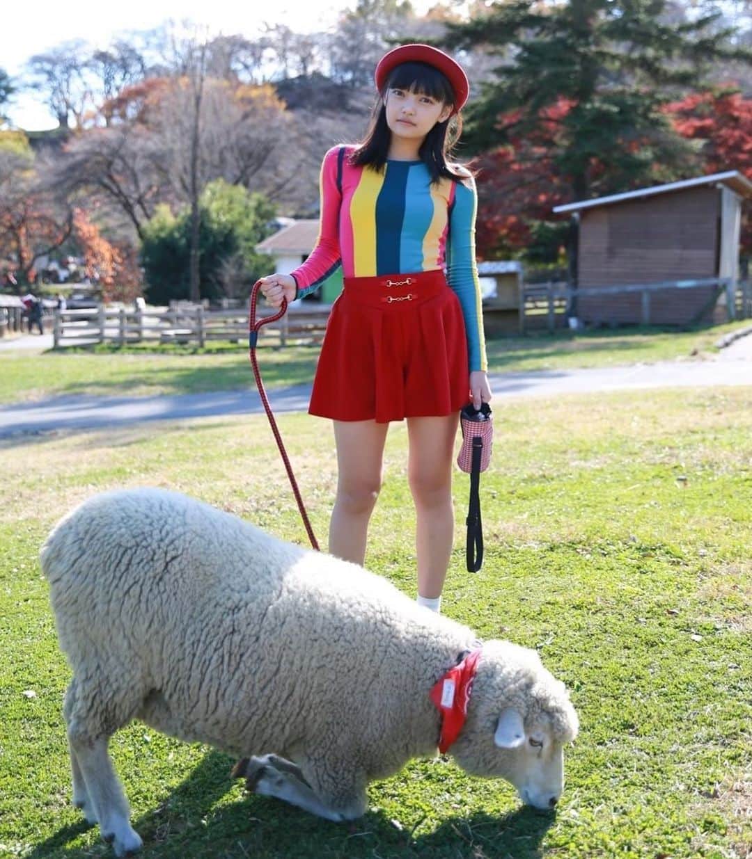 松山あおいのインスタグラム：「羊となかよし🐏」