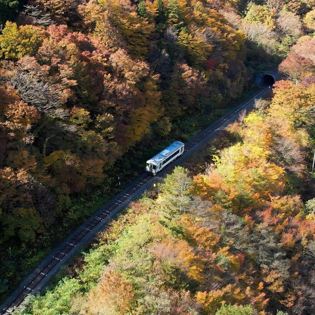 山人のインスタグラム