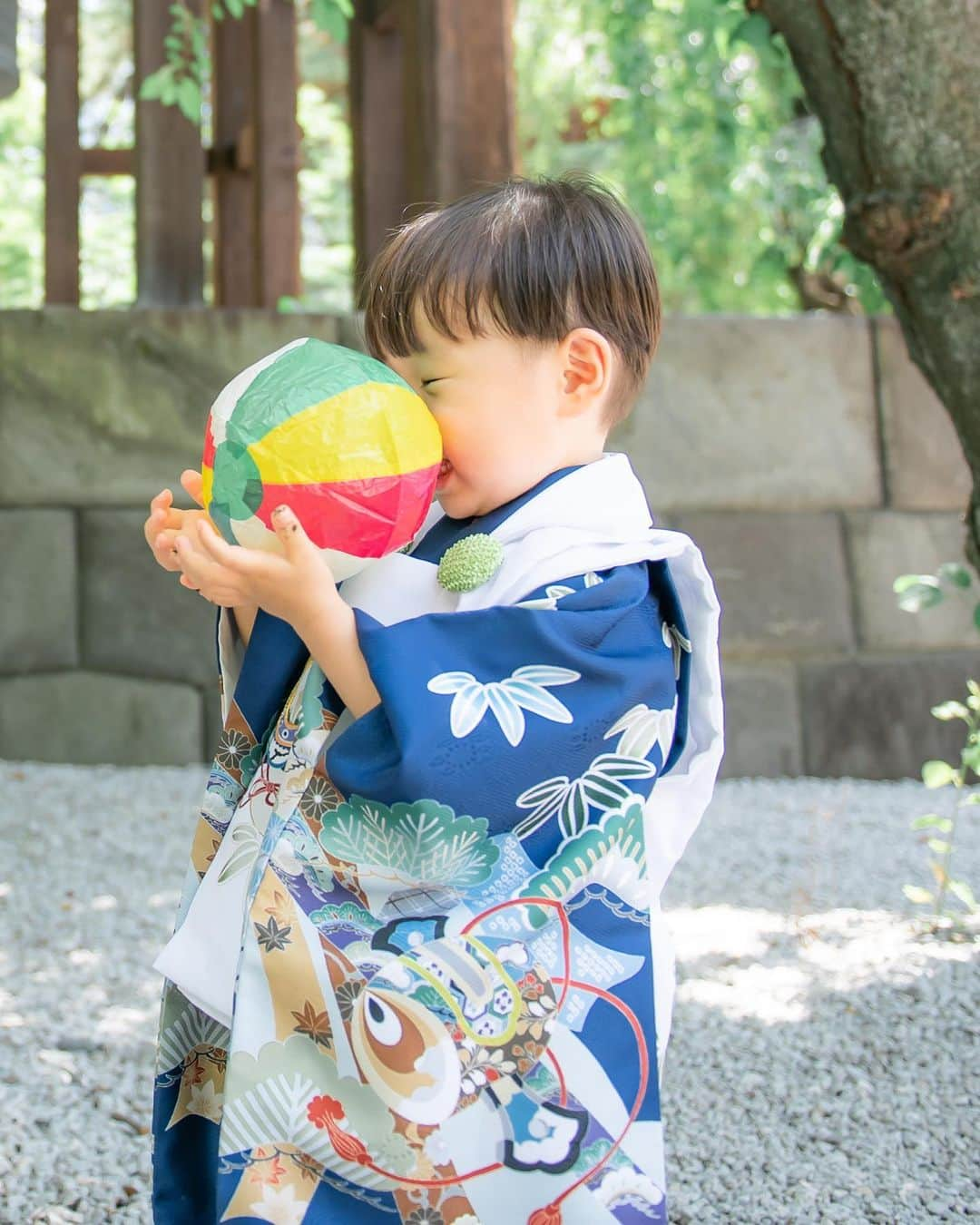 芽華ららさんのインスタグラム写真 - (芽華ららInstagram)「👦🏻🩵👦🏻🩵👦🏻 𝑺𝒉𝒊𝒄𝒉𝒊 𝑮𝒐 𝑺𝒂𝒏 ⁡ ご祈祷は出来なかったけど、暑くなる前ギリギリに近所で撮影だけしました☺️ のびのびと健やかに育ってね🥰 5歳の時はきちんとしたいから2年後の今頃は日本にいる予定です😁✨✨ ⁡ We wish you will be healthy and happy with big smiles!! ⁡ #japaneseevent#japanesetraditional #753 #七五三#増上寺  #rarastgram #❤️」11月16日 0時23分 - rara.world