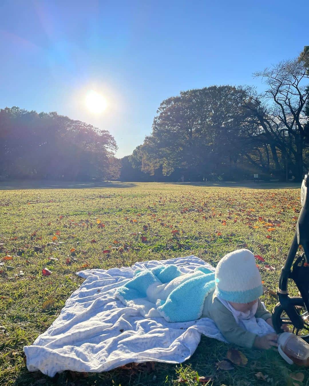奥山春香さんのインスタグラム写真 - (奥山春香Instagram)「まいにちピクニック🌤️🩵🩷」11月15日 22時49分 - corvetteharuka