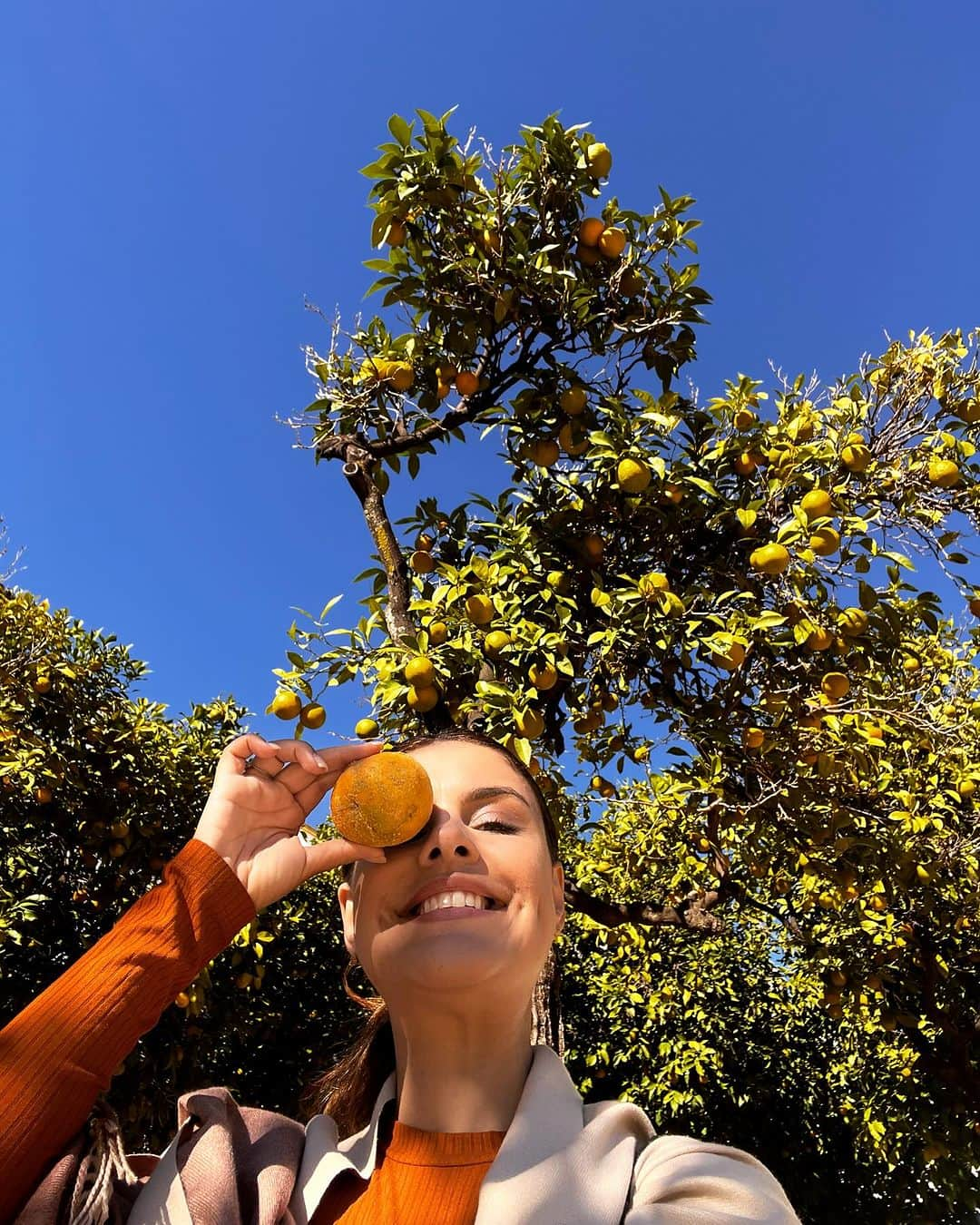 パロマ・バーナーディさんのインスタグラム写真 - (パロマ・バーナーディInstagram)「SEVILLA   onde a cor mais quente é   LARANJA   🍊🍁🍂✨🍁🍂🍊✨🍁 @mimo_viagens #andalucia  @mayte.scaravelli 🇪🇸 #Espanha」11月15日 22時59分 - palomabernardi