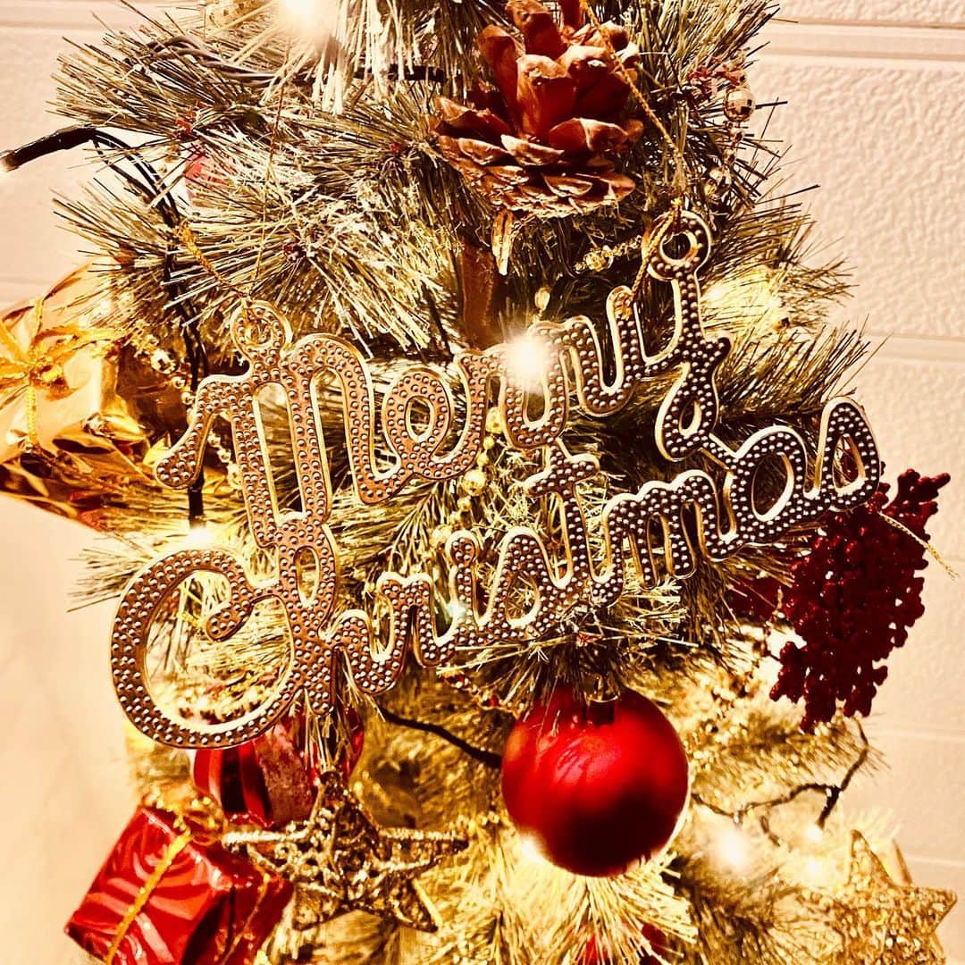ミエレのインスタグラム：「いつもミエレをご利用いただきまして、 ありがとうございます。  今年も クリスマスツリー🎄を設置しました❕ ぜひ、見に来てください❣️  ❤︎クリスマスまであと40日❕  #クリスマスツリー #ミエレ」