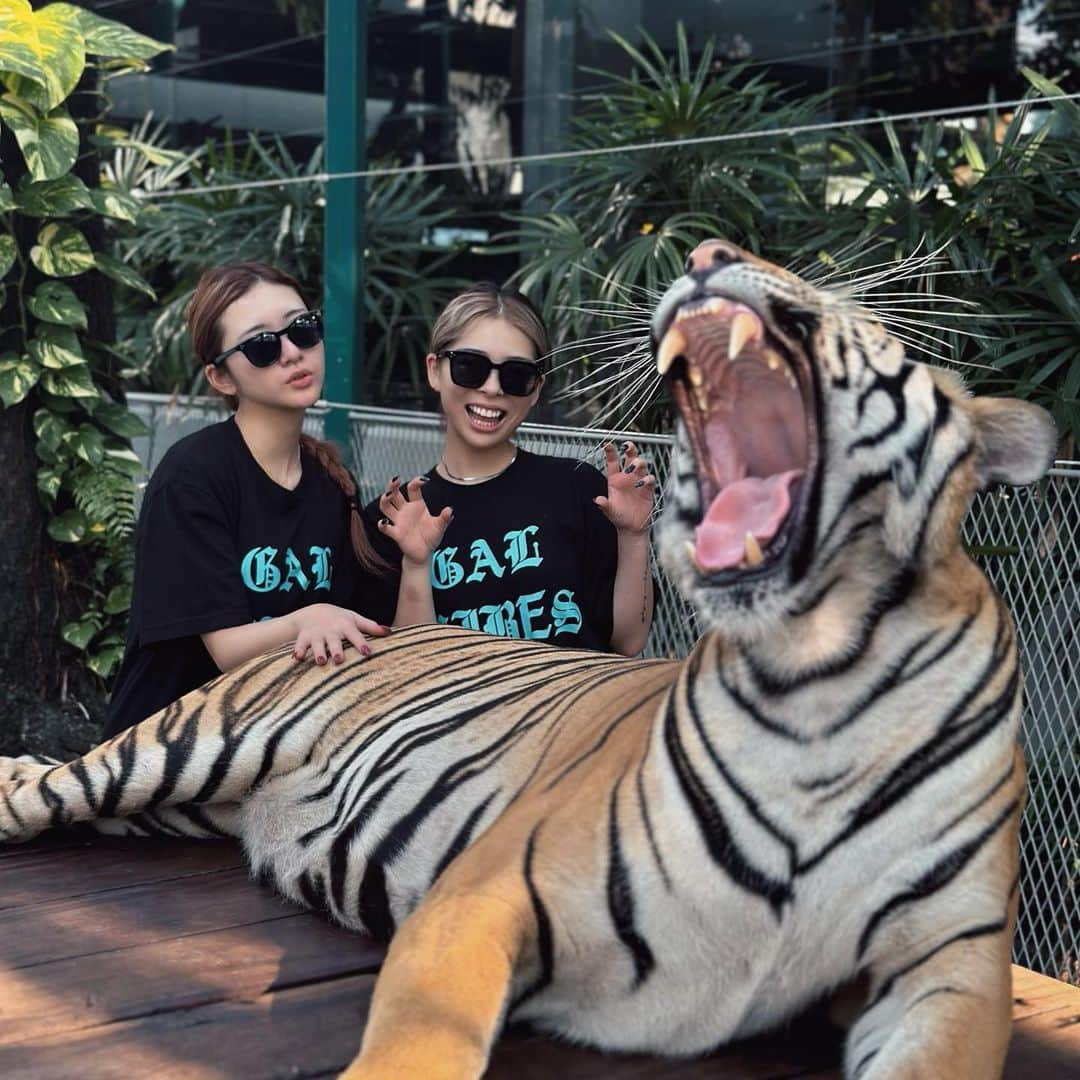 あやか（石山彩花）さんのインスタグラム写真 - (あやか（石山彩花）Instagram)「Thailand 🇹🇭 with @__ai0114   #travelbug #thailand #tigerpark #タイ旅行 #タイ🇹🇭」11月15日 23時16分 - ayakateen821