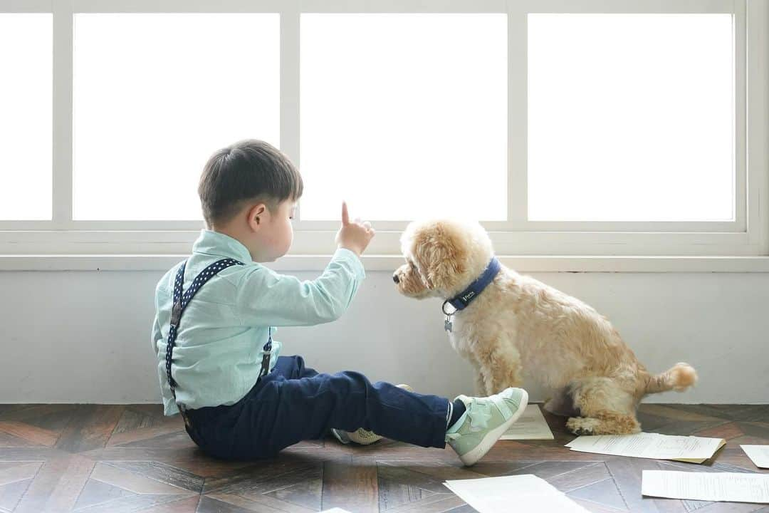 宮川杏奈さんのインスタグラム写真 - (宮川杏奈Instagram)「ニーゴが8才になりました🐶🐾 おめでとうニーゴ💕 大好きよ😘」11月15日 23時38分 - an1221na