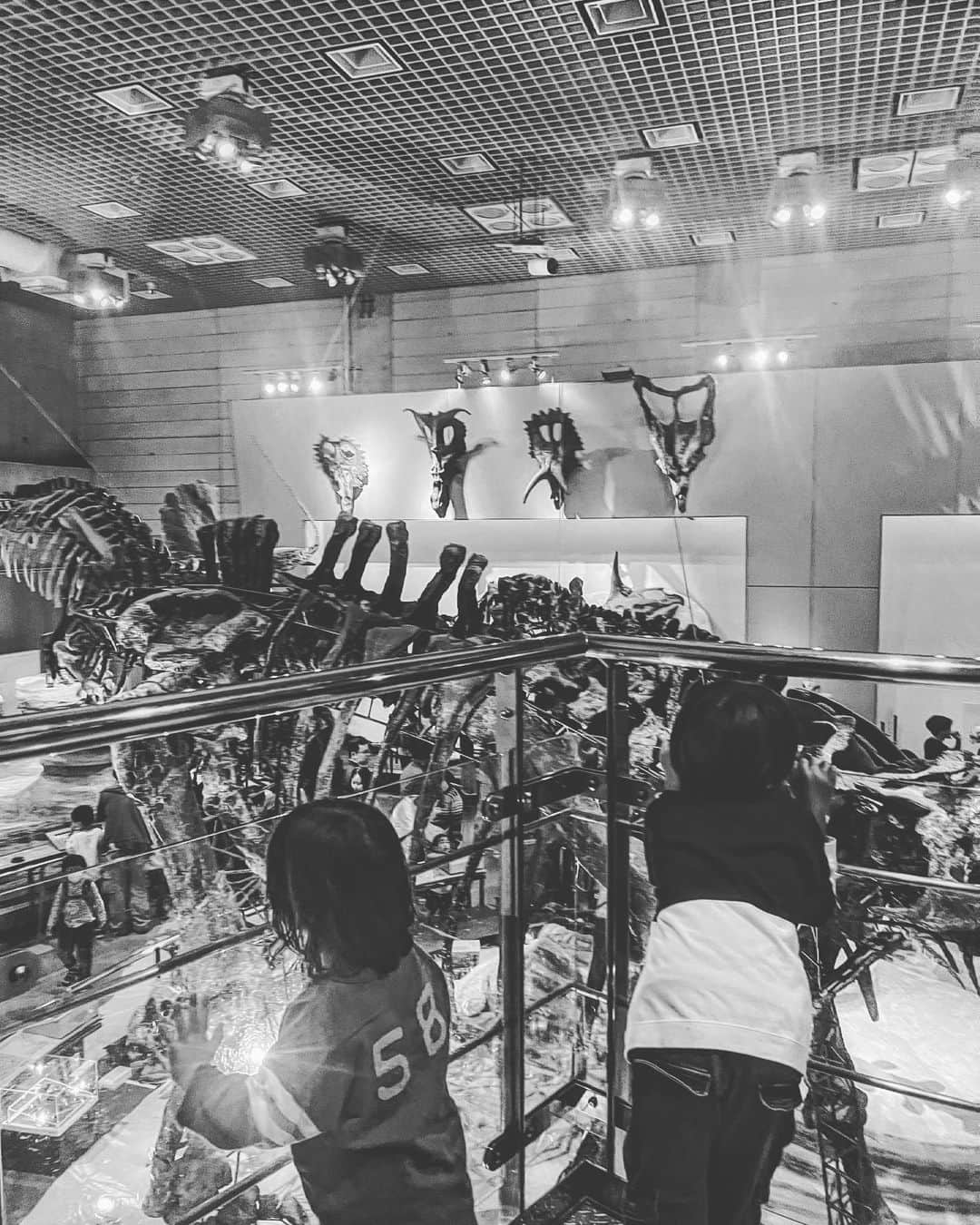 ジェイミー夏樹さんのインスタグラム写真 - (ジェイミー夏樹Instagram)「テーブルにいらっしゃいませ〜て並べてる恐竜達も、ほんとはこんなに大きいんだよ〜〜🦖」11月15日 23時54分 - jaimie__official