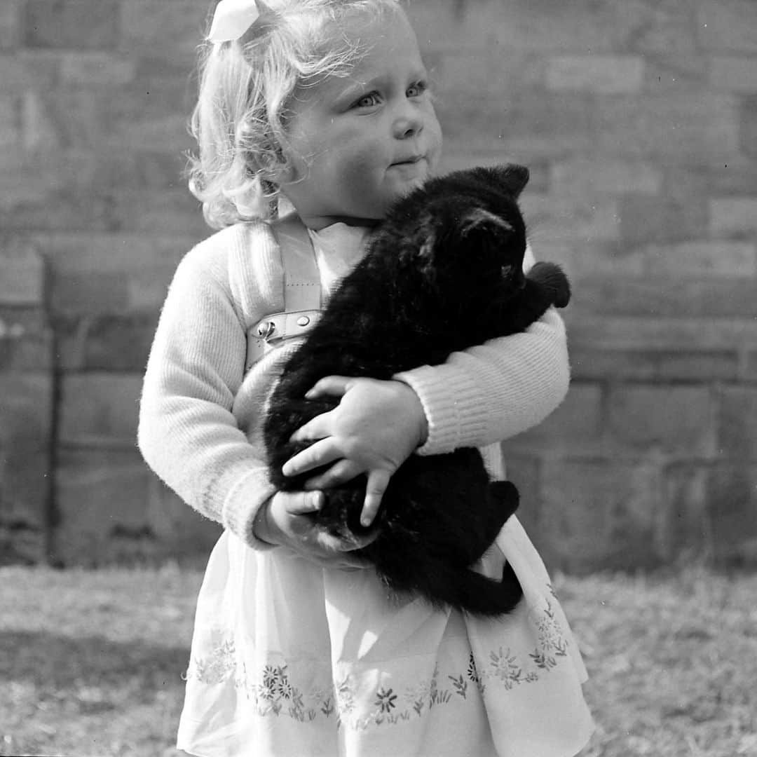 lifeさんのインスタグラム写真 - (lifeInstagram)「Photos of cute kittens during a blessing of the animals at a Catholic Church in England, 1949.   Prints of these and many more adorable animals are available for purchase - check out the link in our bio!   (📷 Mark Kauffman/LIFE Picture Collection)   #LIFEMagazine #LIFEArchive #LIFEPictureCollection #MarkKauffman #wildLIFEwedensday #Kittens #CatsofInstagram #1940s」11月16日 0時45分 - life