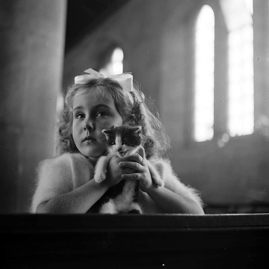 lifeのインスタグラム：「Photos of cute kittens during a blessing of the animals at a Catholic Church in England, 1949.   Prints of these and many more adorable animals are available for purchase - check out the link in our bio!   (📷 Mark Kauffman/LIFE Picture Collection)   #LIFEMagazine #LIFEArchive #LIFEPictureCollection #MarkKauffman #wildLIFEwedensday #Kittens #CatsofInstagram #1940s」