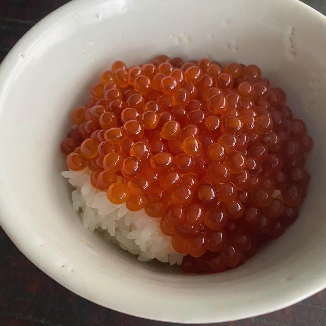 後藤しおりさんのインスタグラム写真 - (後藤しおりInstagram)「やることが多いので、賄いは簡単にいくら丼とお味噌汁。伏見の農家さんの、細い大根、が太くてずっしり重く、笑いながら仕込みをしていました。」11月15日 15時16分 - shiorigoto_tou