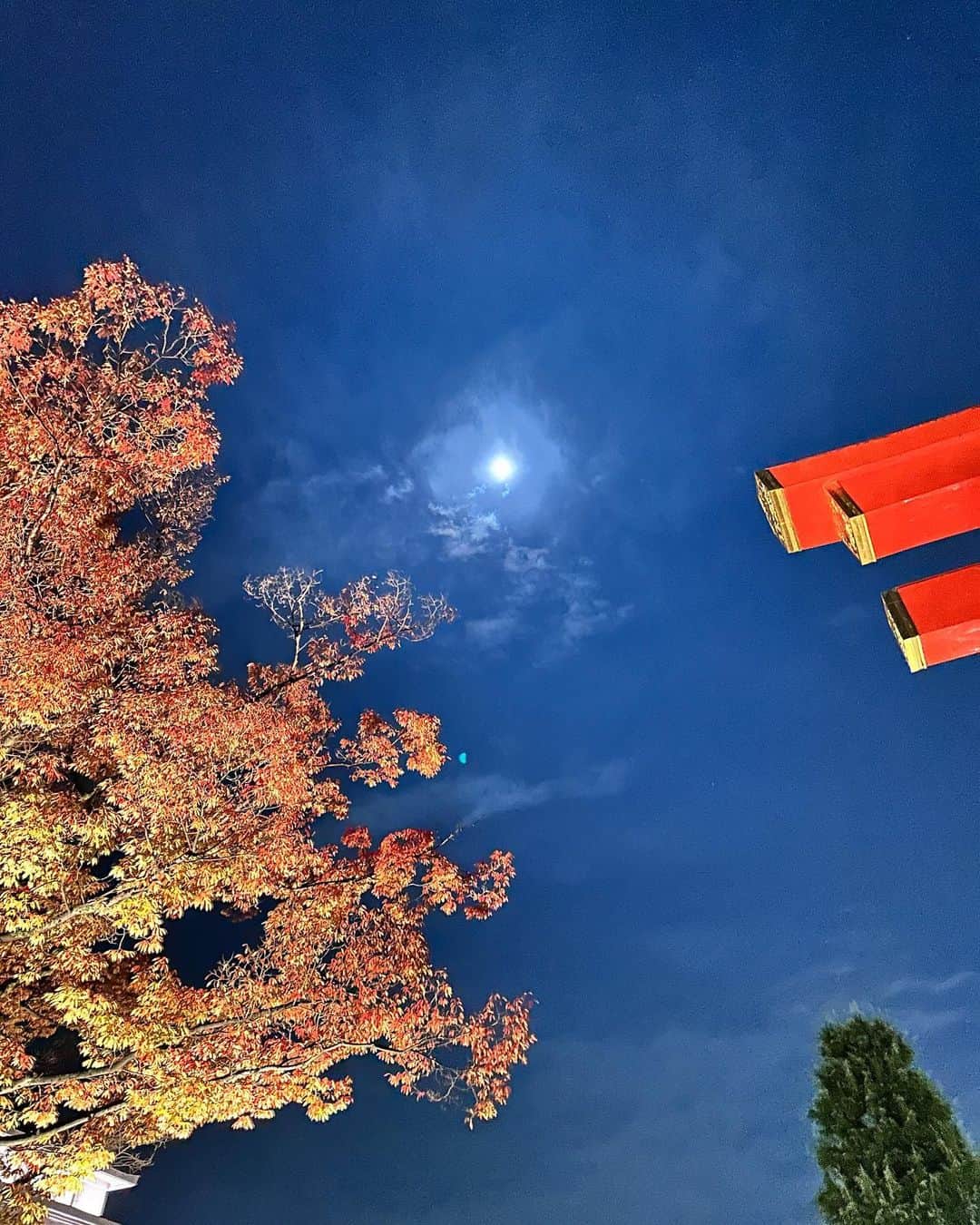 小林真由さんのインスタグラム写真 - (小林真由Instagram)「今年もアートコラボレーション京都へ。 ⁡ 再会もあったり京都ではたくさんの方に会えて刺激的🍁 食とアートでお腹いっぱいな週末でした。  ⁡ ⁡ipadのらくがきラブな娘。  最後はちょうど1年前。 来年はゆっくり行きたいなぁ🍡🍁  #ファッション #コーデ #ママコーデ #女の子ママ #男の子ママ #ママライフ #コーディネート #４歳 #3歳 #京都 #旅行 #国内旅行 #子連れ旅行 #アート #ack #artcollaborationkyoto #嵐山」11月15日 16時52分 - mayukobayashii