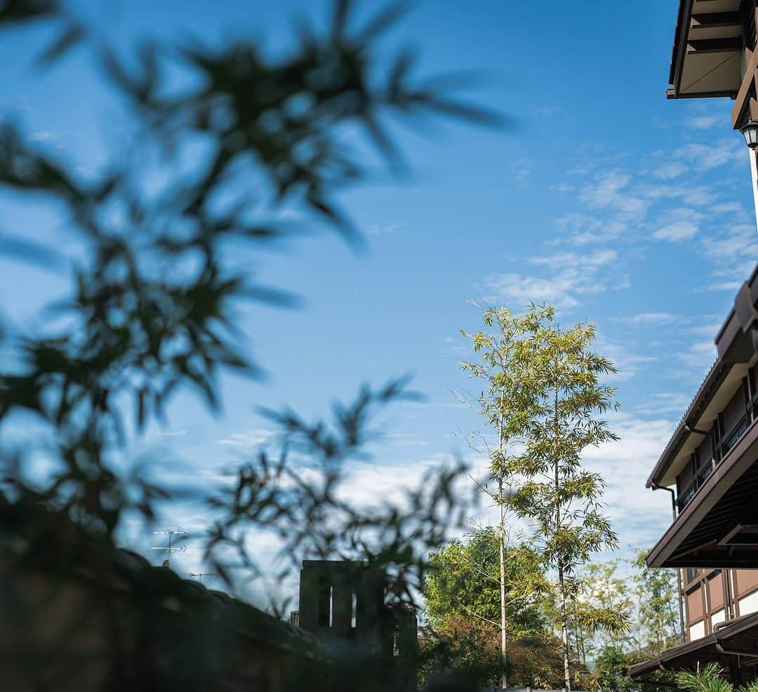 KIYOMIZU京都東山 公式さんのインスタグラム写真 - (KIYOMIZU京都東山 公式Instagram)「. 清水寺、ニ寧坂、八坂の塔など 京都ならではの景観にとけこむ和の邸宅 KIYOMIZU京都東山  風情が訪れる人を魅了する格別なロケーションで ゲストをおもてなししませんか？  -———————  @kiyomizu_kyoto_higashiyama をフォローし 【#kiyomizu京都東山】で検索してくださいね❖  #スタイルズ花嫁 #KIYOMIZU京都東山 #KIYOMIZU花嫁 #ブライダルハウスtutu #シェアーズヘアメイク #京都花嫁 #京都結婚式場 #庭園 #和婚 #和婚花嫁 #式場探し  #京都婚 #東山」11月15日 16時52分 - kiyomizu_kyoto_higashiyama