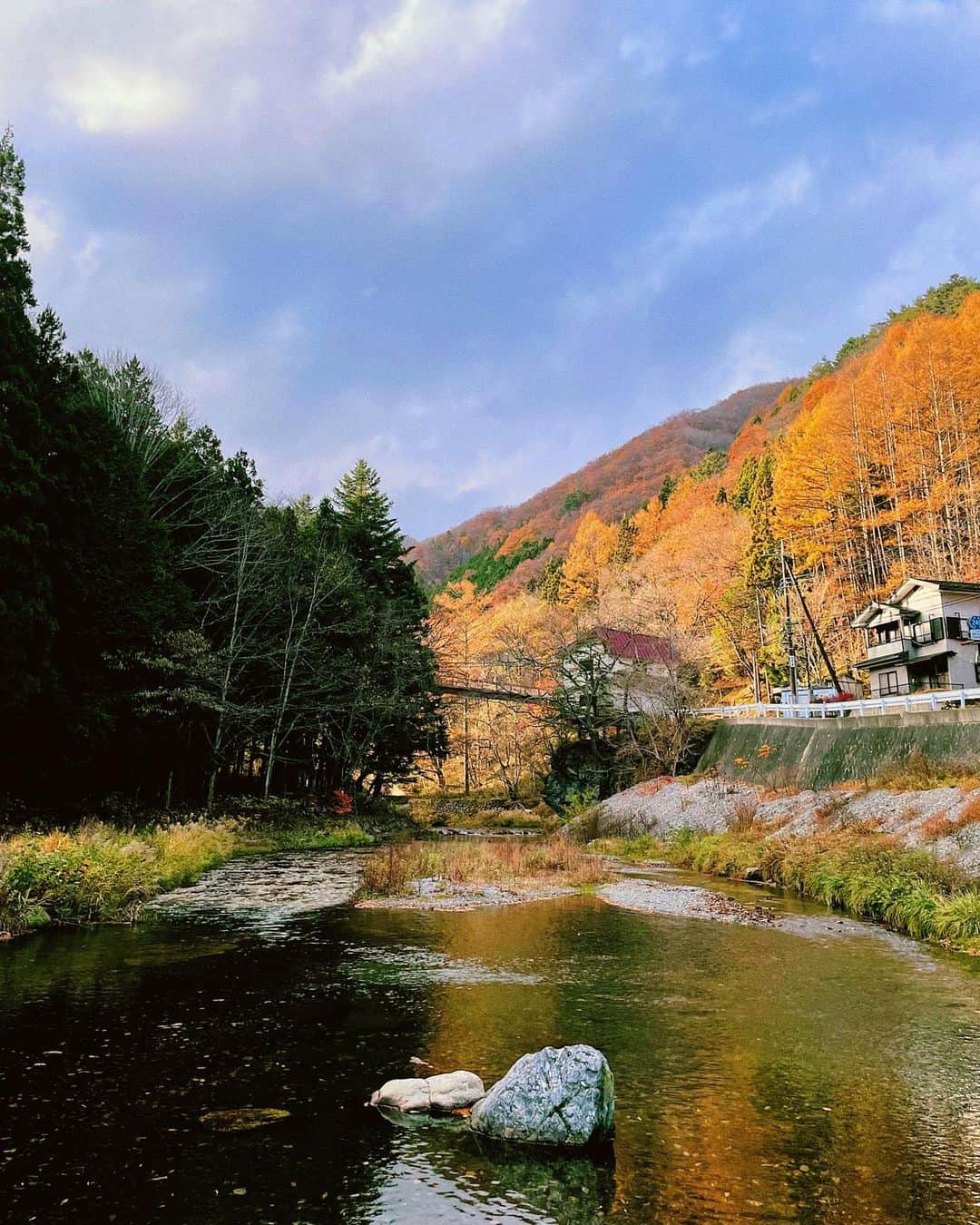 山下銀次さんのインスタグラム写真 - (山下銀次Instagram)「所々紅葉！！！笑  #今年一番階段を登りました #そのちゃん魚の顔こわいらしい笑笑 #ほうせいくんは何て言ってるでしょう笑」11月15日 17時10分 - ginjiyamashita