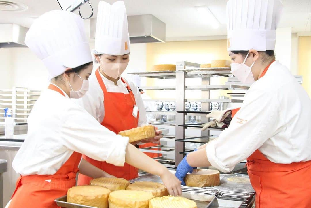 神戸製菓専門学校（公式）さんのインスタグラム写真 - (神戸製菓専門学校（公式）Instagram)「🌈製菓本科1年生🌈 神戸製菓の製菓本科(昼2年制)は 2年間で1500時間の実習･演習✨  神戸製菓は計量から仕上げまで #1人1台 ‼️ 後期に入って作る品数も増え、作業も速くなりました🍰  #フランクフルタークランツ #オペラ  今日は2種類の伝統菓子を製造しました！😊  #神戸製菓　#神戸製菓専門学校　#洋菓子実習　#製菓　#製菓専門学校　#製菓本科　#専門学校　#パティシエ　#お菓子作り　#お菓子作り好きな人とつながりたい　#神戸　#三ノ宮　#pattistagram2023」11月15日 17時14分 - kobeseika_info