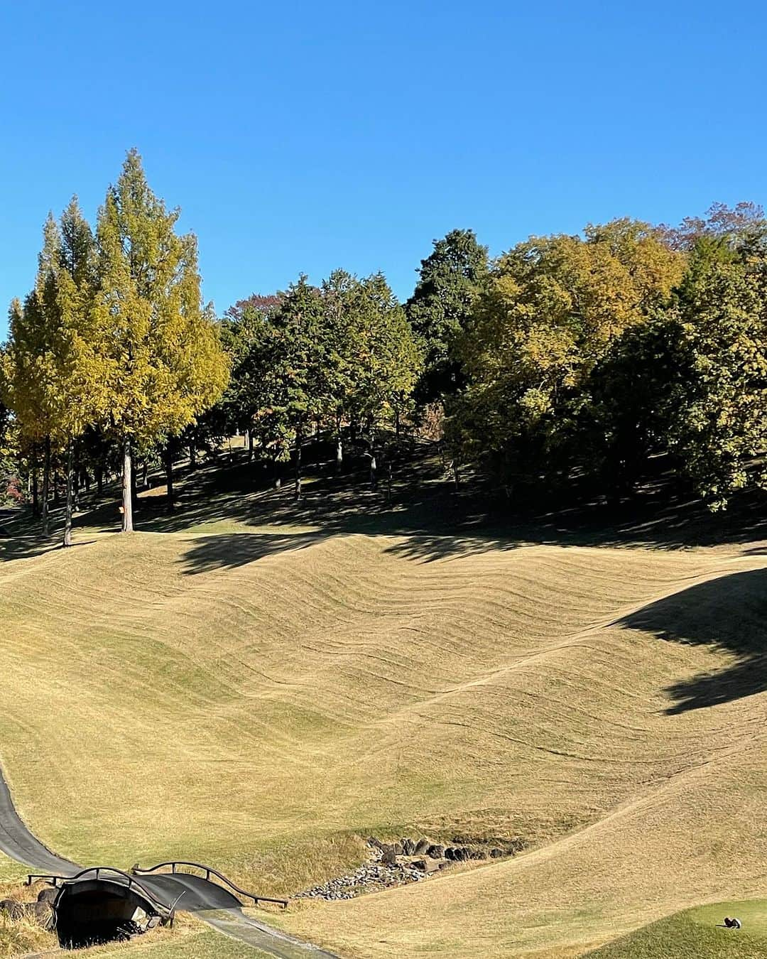 椿原愛さんのインスタグラム写真 - (椿原愛Instagram)「初、群馬でのゴルフ⛳️ 朝は本当に冷え込んでいて、服装大丈夫か？と不安でしたが太陽が出てきたらかなり暖くて逆に汗をかきました  ライが凹凸多めで難しく…ラフも長くて難しかったー  でも紅葉している山の中でラウンド出来てかなりリフレッシュしました。 また群馬さん、お邪魔しますね♡  #ゴルフ女子　#ゴルフ」11月15日 17時29分 - ai.tsubakihara