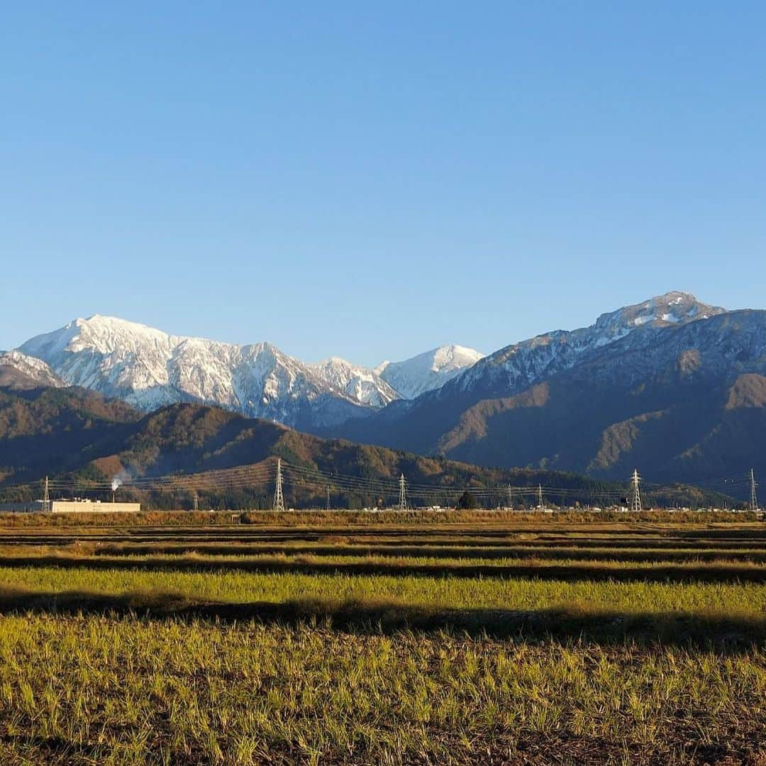 ＪＡ北魚沼（北魚沼農業協同組合）のインスタグラム：「#魚沼三山　２回目の冠雪 ． ３回降ると里にも雪が降る、との先人からの言い伝えがあります。 （と言いつつ違ってたらすみません。地元の皆さん合ってます？） ． 地元魚沼の千メートル級の山々もうっすら雪化粧。 ． 昨日、一昨年ととても寒く冷たい雨が降りましたが、今日は一転青空が広がりました。 ． 大根や白菜といった秋野菜の収穫を待ち望んでいた農家さんは、晴れ間を逃すまいと収穫をしていました。 ． ． #北魚沼の今を伝えたい  2023.11.15 ． #もうすぐ冬がやってくる  #ぽかぽか陽気  #あおそら #今日ソラ　 ． #魚沼産コシヒカリ #北魚沼産コシヒカリ  #お米を食べよう  #お米好きな人と繋がりたい  ． #なにげない日常 #みんなに見せたい風景  #ダレカニミセタイケシキ #誰かに見せたい景色 #みんなに見せたい風景  #田舎の景色 #田舎の風景  ． #uonuma_japan  #uonuma_pic  #uo_pic  #niigata  #uonuma  ． #新潟県  #魚沼市  #長岡市川口 #新潟  #魚沼  #JA北魚沼」