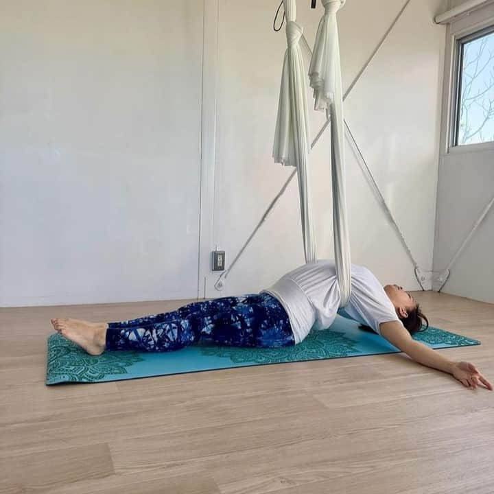 ヨガデザインラボ Yoga Design Labさんのインスタグラム写真 - (ヨガデザインラボ Yoga Design LabInstagram)「47都道府県YDLで繋がろうキャンペーン 関東編🙌  茨城県アンバサダーをご紹介いたします🔆  Kayo様 @kayo_bloom  ■ご紹介(主な活動)  ＊ベビトレヨガインストラクター ＊子どもヨガインストラクター ＊エアリアルヨガインストラクター ＊ダンスインストラクター ＊大人が学ぶ子ども姿勢講座開催 ＊つくばカピオ様、ブリッヂハウス様、守谷子育て支援センター様、Harmiy Yoga & Exercise Studio様"  ■SNS等 Instagram：@kayo_bloom HP：https://kayo-bloom.com Line：@kayo-bloom  今後とも何卒よろしくお願いいたします😌」11月15日 17時58分 - yogadesignlabjapan