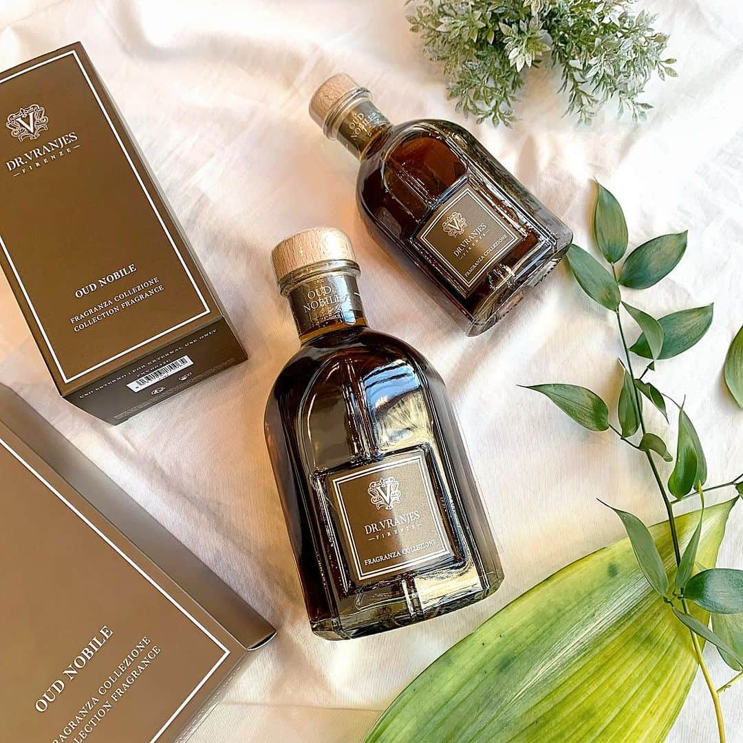 bijouxthreecさんのインスタグラム写真 - (bijouxthreecInstagram)「【DR.VRANJES】  この時期にオススメの香り"OUD NOBILE"🌿  沈香とも呼ばれる希少な香木OUDのエッセンスに、 ベルガモット、ネロリが美しく調和。  魅惑的なミルラなどのオリエンタルノートがさらなる深みを与え、 この神秘的で唯一無二の香りを完成させています😌🌳  ご自宅のリビングなどにいかがでしょうか🏠🫧   #drvranjesjapan   #drvranies   #ドットールヴラニエス   #ドットールヴラニエスジャパン   #ルームフレグランス  #ルームフレグランスディフューザー   #フレグランス  #香りのある暮らし   #香水  #bijouxthreec   #ビジュースリーク  #新潟  #古町」11月15日 18時12分 - bijouxthreec