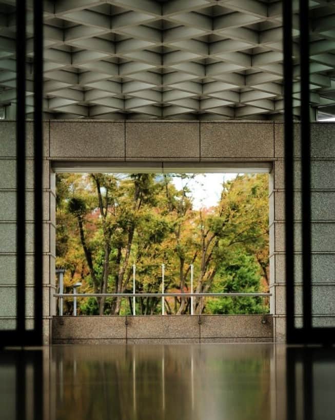 Park Hyatt Tokyo / パーク ハイアット東京のインスタグラム：「The colors of autumn leaves brighten our days.   秋が深まり、パーク ハイアット 東京周辺の紅葉も色づき始めました。  Share your own images with us by tagging @parkhyatttokyo ————————————————————— #ParkHyattTokyo #ParkHyatt #Hyatt #luxuryispersonal #discovertokyo #hotelstay #viewfromparkhyatttokyo #autumn #autumnleaves #パークハイット東京 #景色 #ホテルステイ #紅葉 #秋　@shumpeiohsugi_photographer」