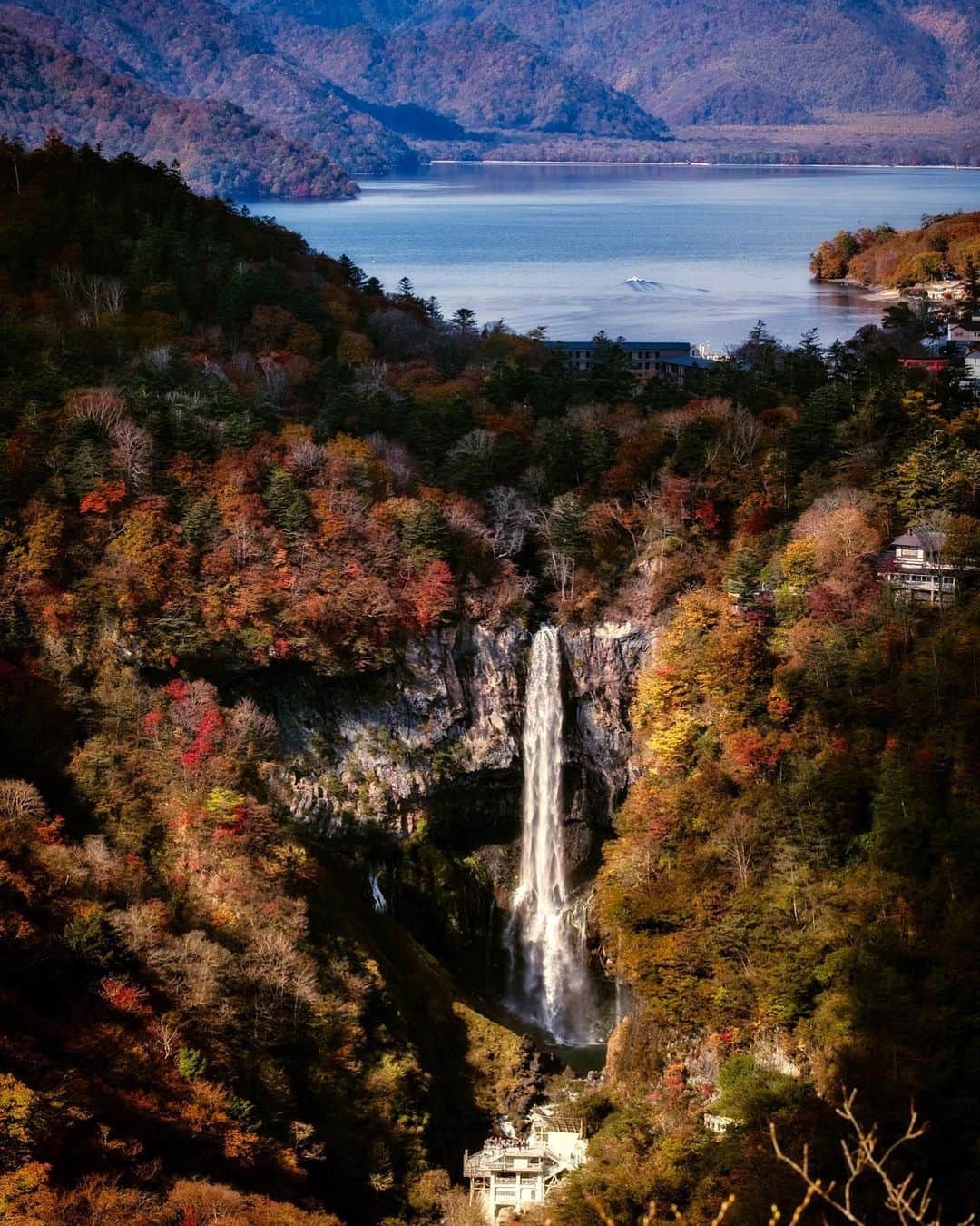 RECOのインスタグラム：「. Pickup #reco_ig by @zama_san  ——————————————————— Information https://xico.media/news/reco-selection/ ——————————————————— produced by @wearexico」
