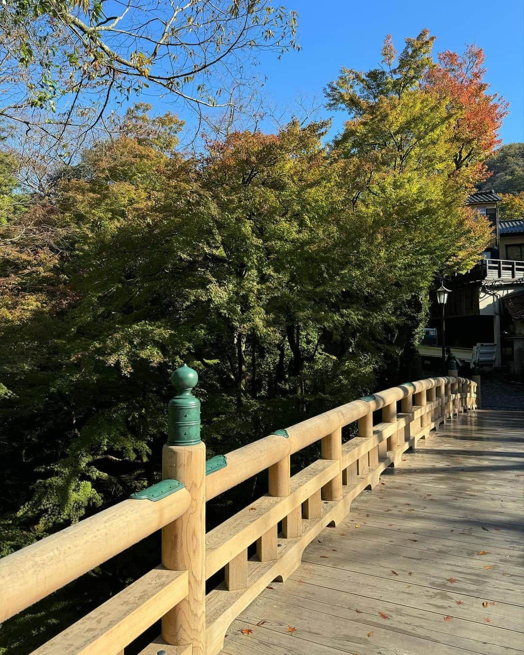 山中真さんのインスタグラム写真 - (山中真Instagram)「・ 昨日は石川県加賀市 山中温泉から！  紅葉の名所、鶴仙渓は 色づきがまだ少し、だったけど。  石の黒谷橋、 木のこおろぎ橋、 鉄のあやとり橋、 がまた風情ありまして。  温泉旅館たわらやは 創業800年、 鎌倉時代からあるんですって！  #mbs #よんチャンtv  #毎日生中継 #山ちゃん中継 #加賀温泉郷　#山中温泉 #鶴仙渓　#あやとりはし #たわらや」11月15日 18時52分 - makorine1120