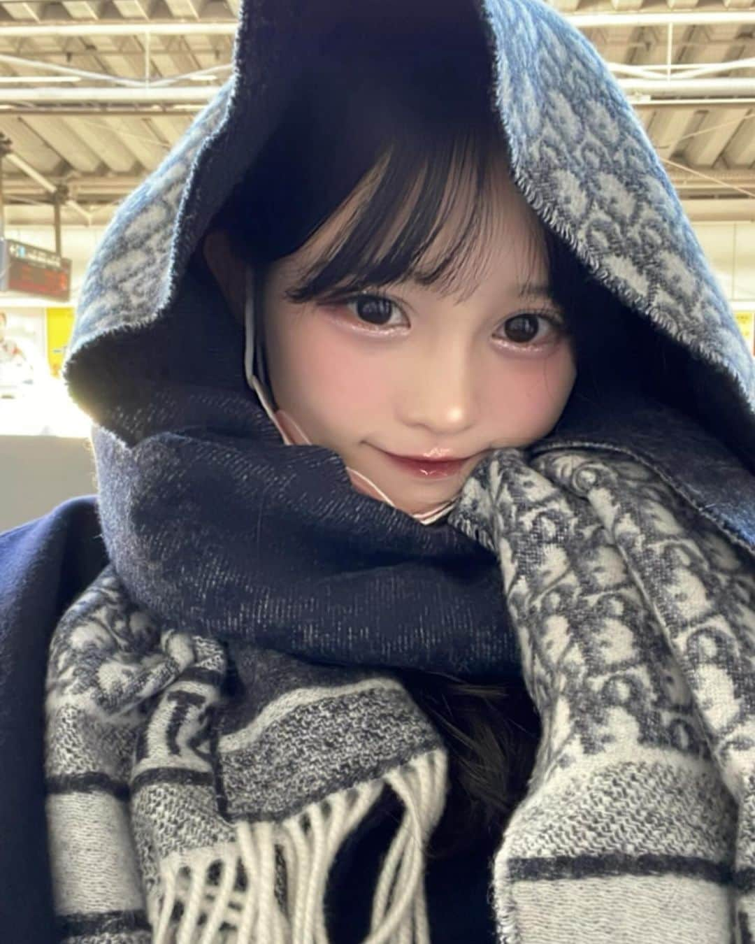 村川緋杏さんのインスタグラム写真 - (村川緋杏Instagram)「⛄️  大好きな冬が来た⛄️  去年の卒業祝いで家族に貰った お気に入りのDiorのマフラー🩶  もう出したらはやいかな〜？(⸝⸝›ᴗ‹⸝⸝)✨」11月15日 18時44分 - murakawabibiann