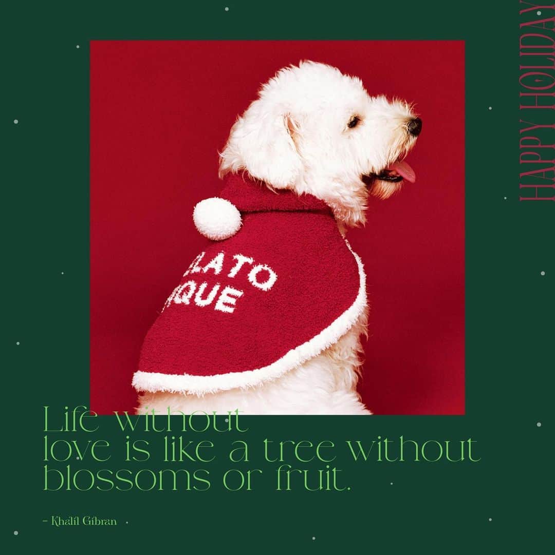 ジェラートピケのインスタグラム：「【HOLIDAY COLLECTION】  11.16(TUE) START Warm Wishes＆Lovely Holidays🎄❤  今年のホリデーコレクションには愛犬用ウェアも仲間入りです。 サンタクロースをイメージしたフード付きのウェアと、ツノと真っ赤な鼻付きでトナカイになれるウェア。 どちらも気軽に着せられるケープタイプで、ふんわり軽い'ベビモコ'素材を使用しています。  ITEM:CAPE COLOR:RED/BEG  #gelatopique #ジェラートピケ #roomwear #ルームウェア #christmas #クリスマス #holiday #ホリデー #holidaycollection #gift」